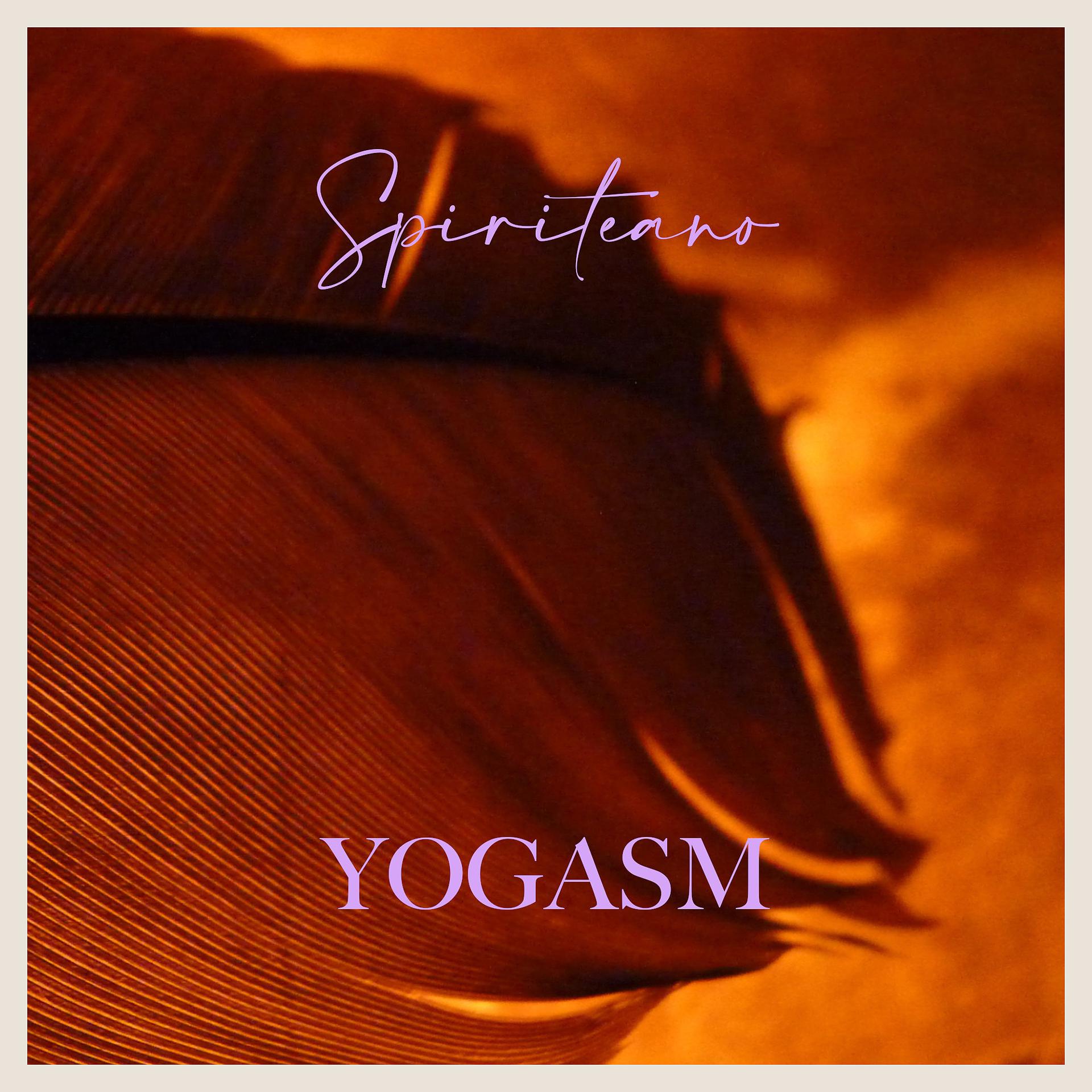 Постер альбома The Art of Yoga