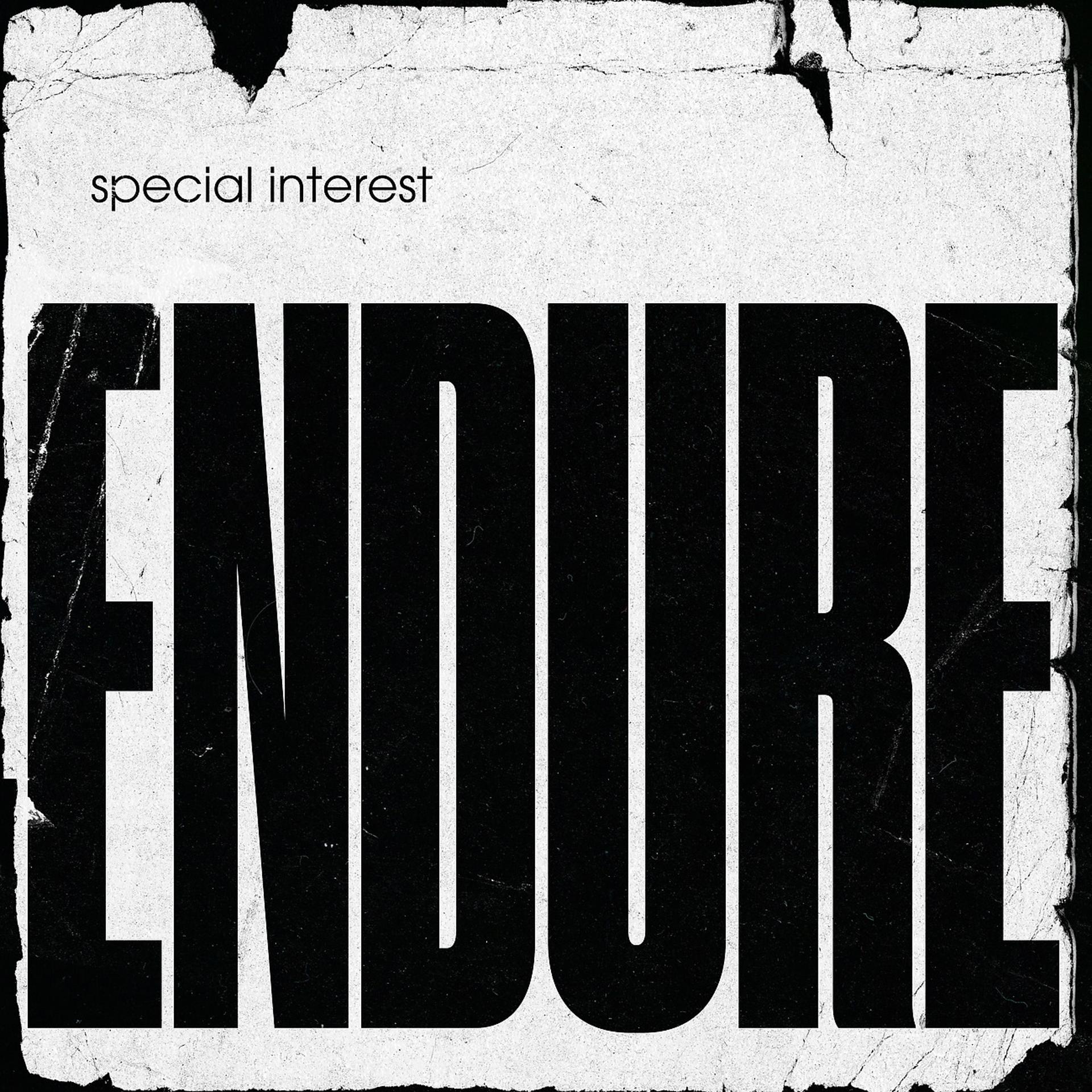 Постер альбома Endure