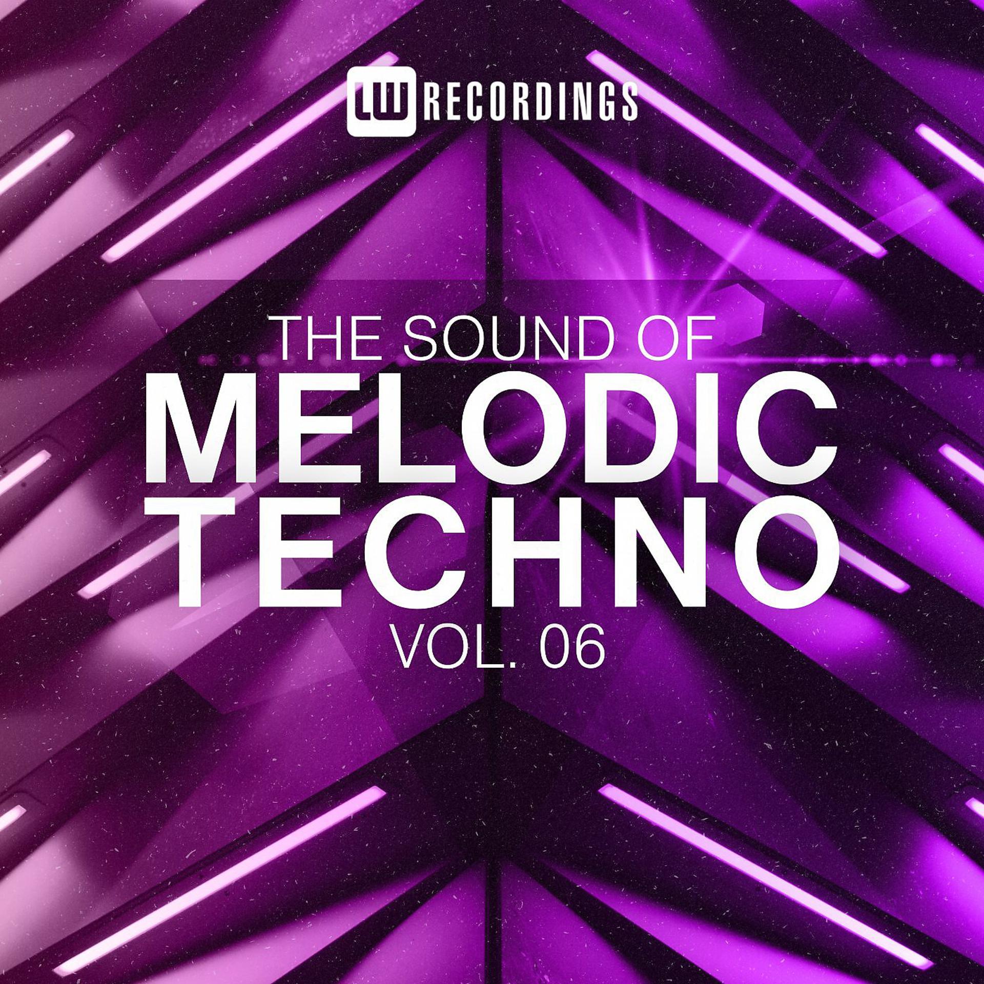 Постер альбома The Sound Of Melodic Techno, Vol. 06