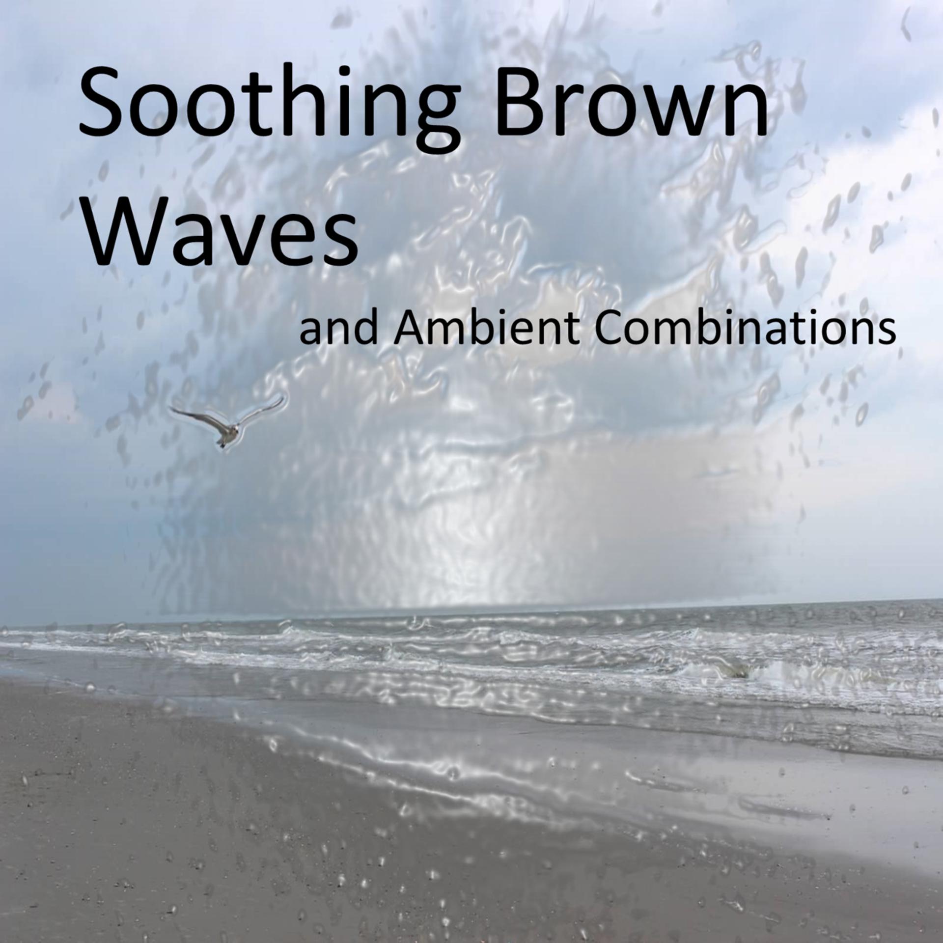 Постер альбома Soothing Brown Noise Waves and Calming Ambient Combinations