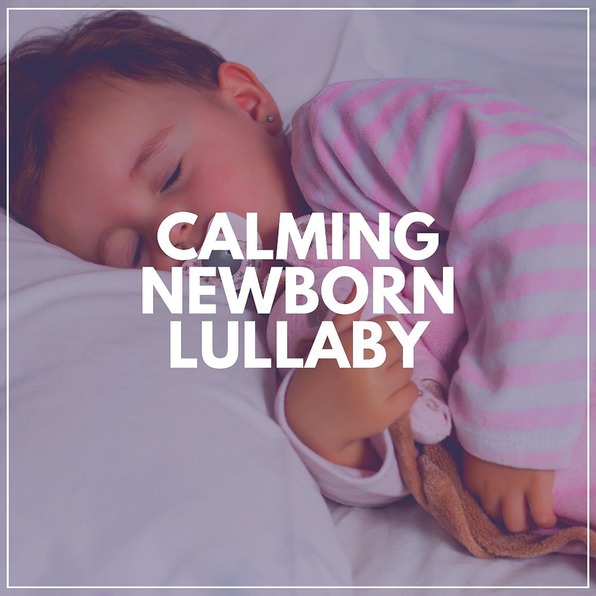 Постер альбома Calming Newborn Lullaby