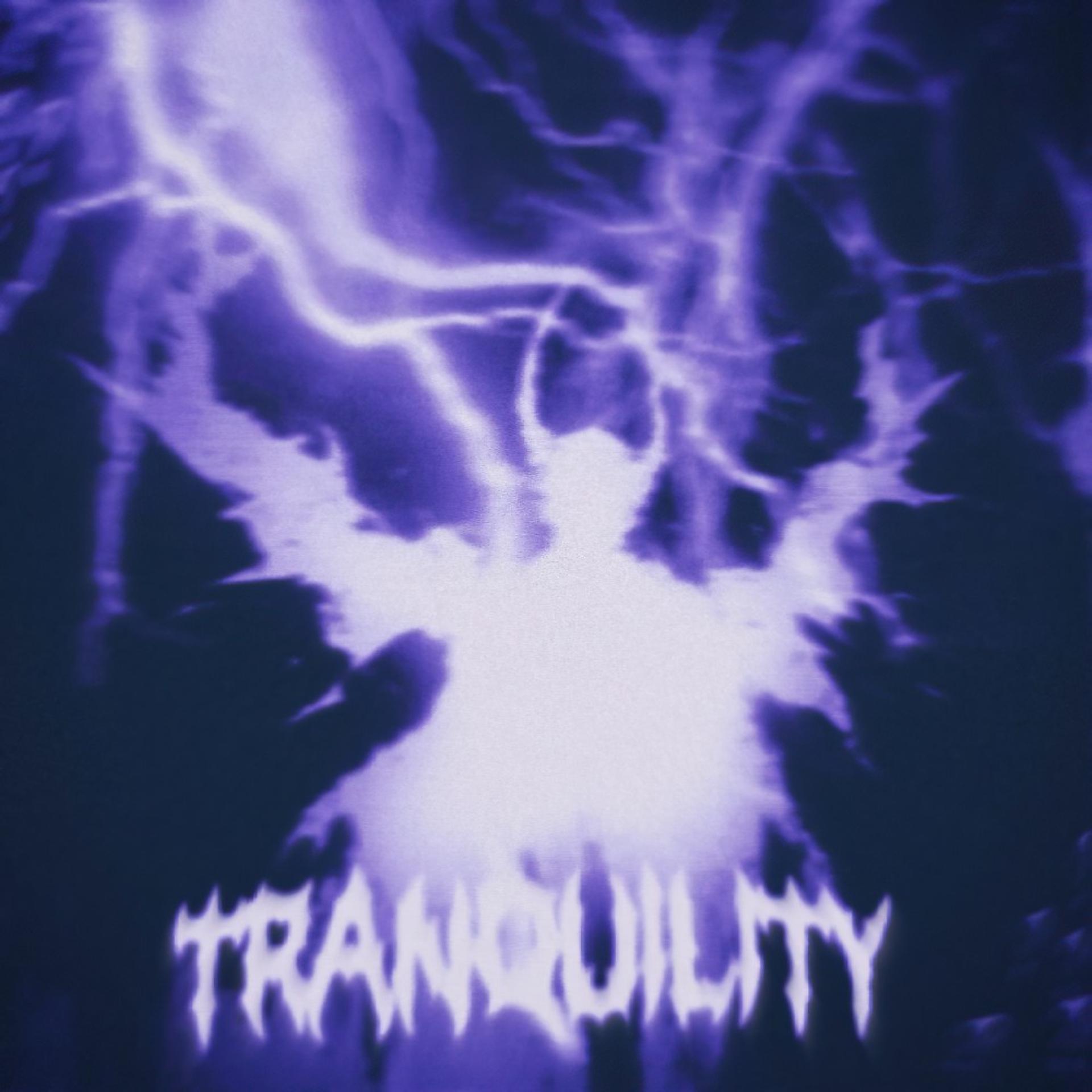 Постер альбома Tranquility II
