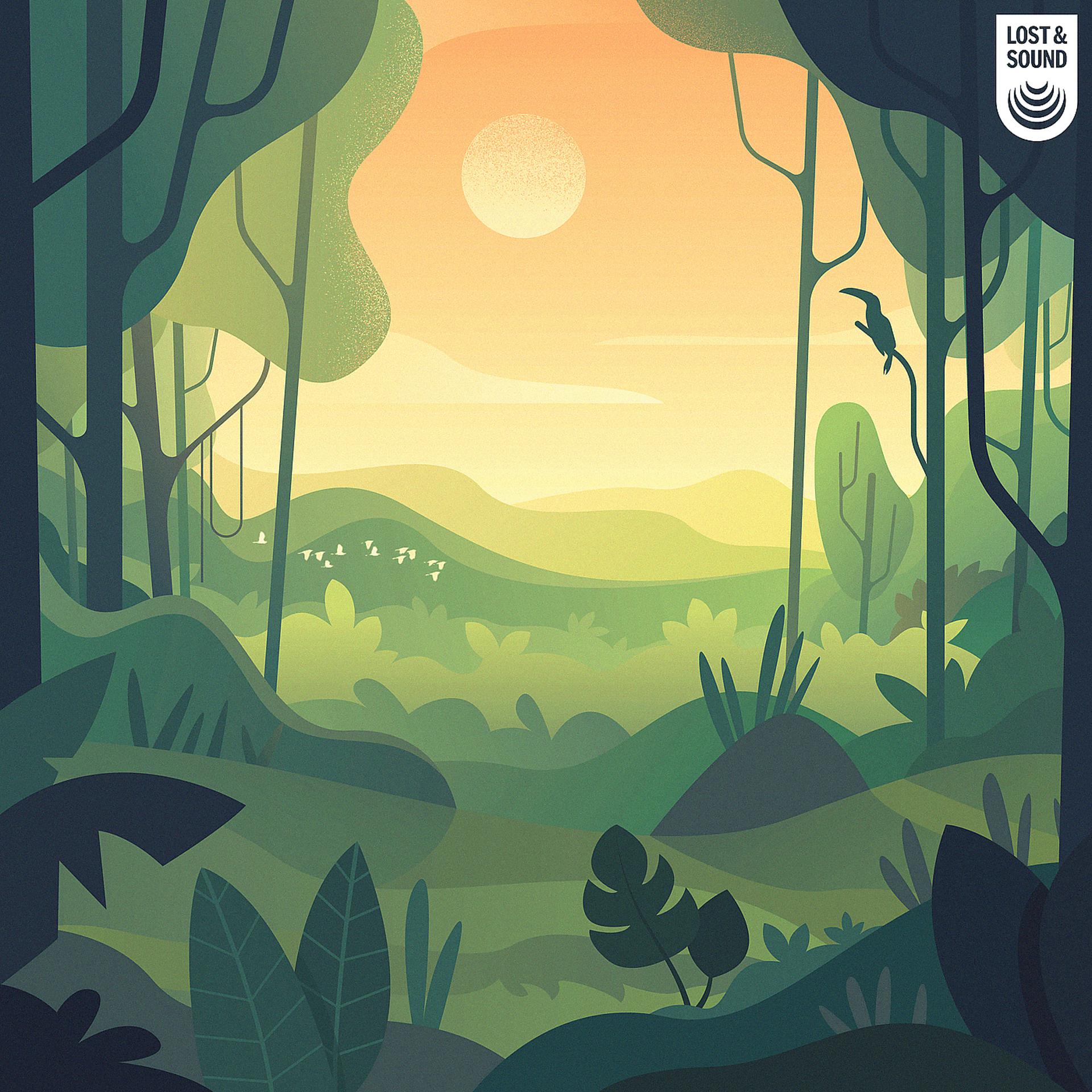 Постер альбома Tropical Rainforest