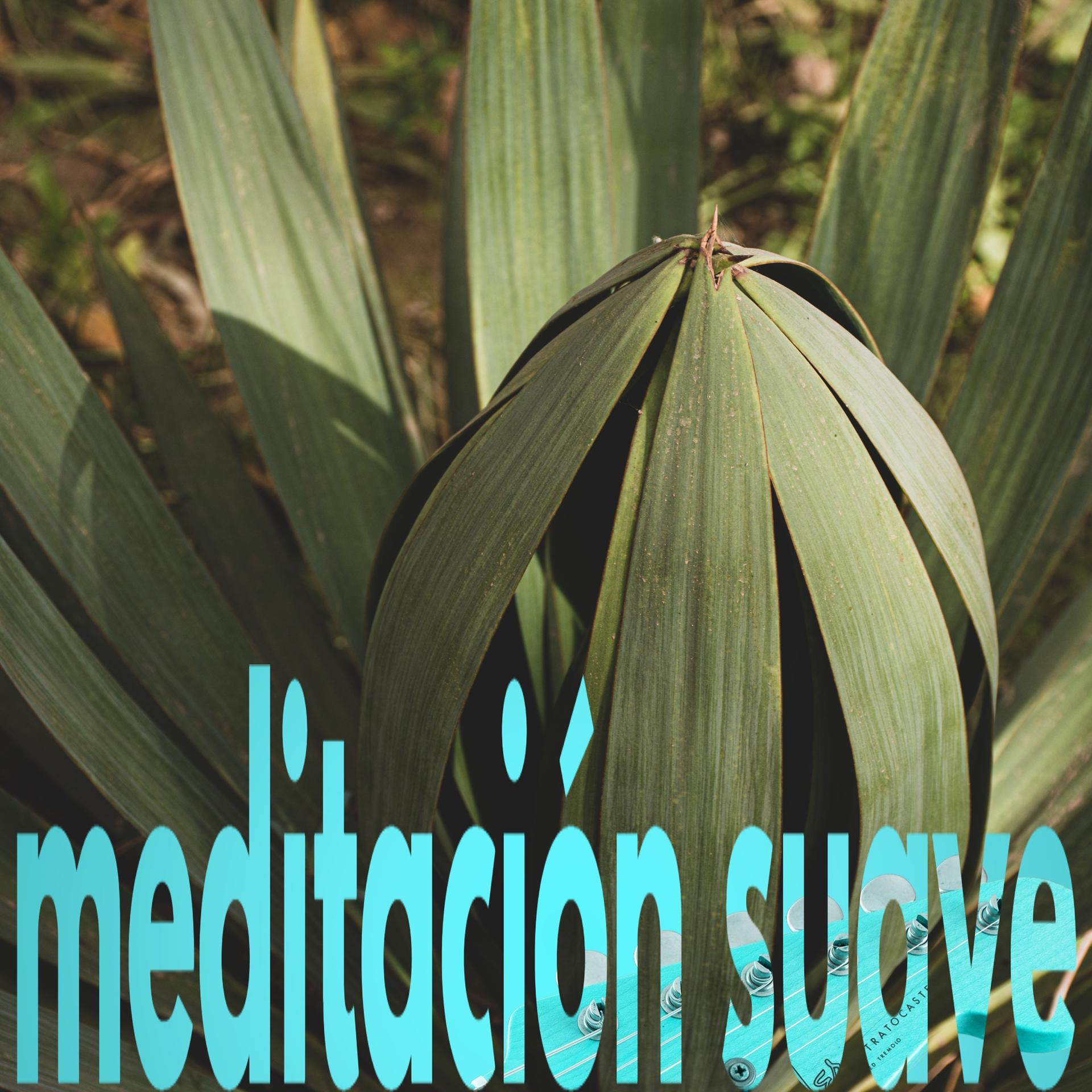 Постер альбома meditación suave
