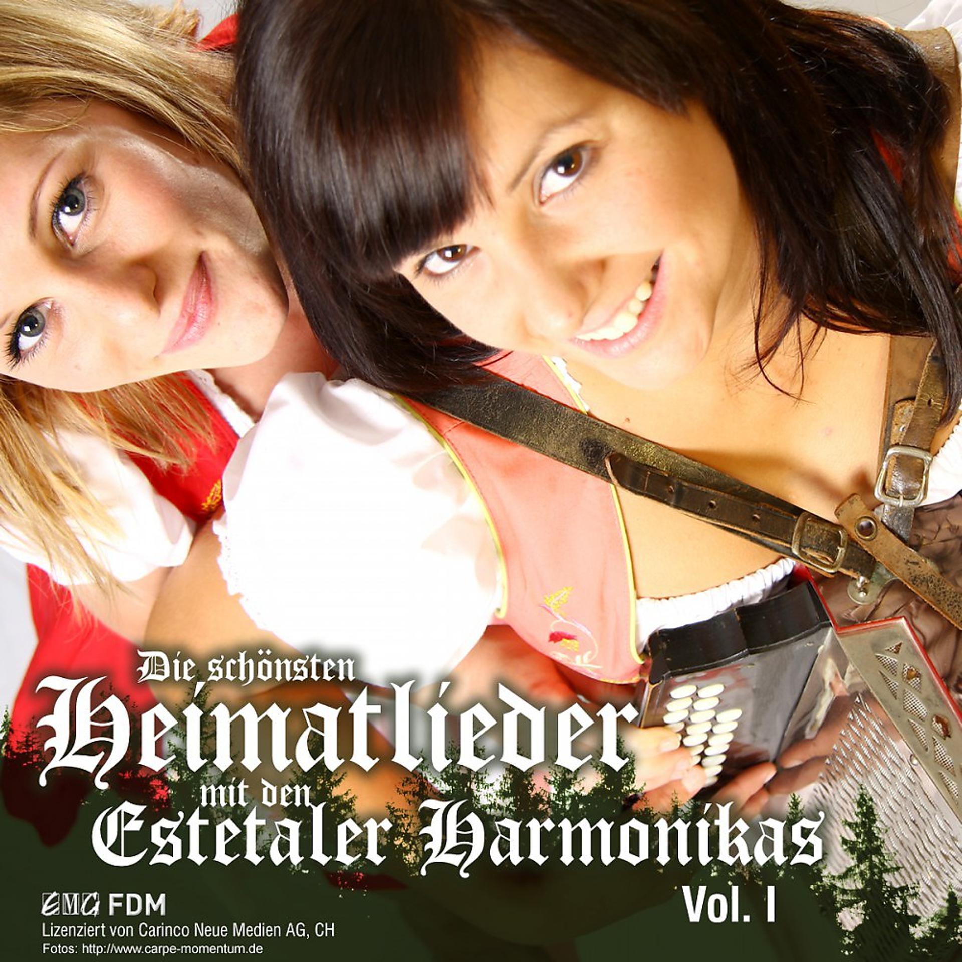 Постер альбома Die Schönsten Heimatlieder Mit Den Estetaler Harmonikas Vol. 1
