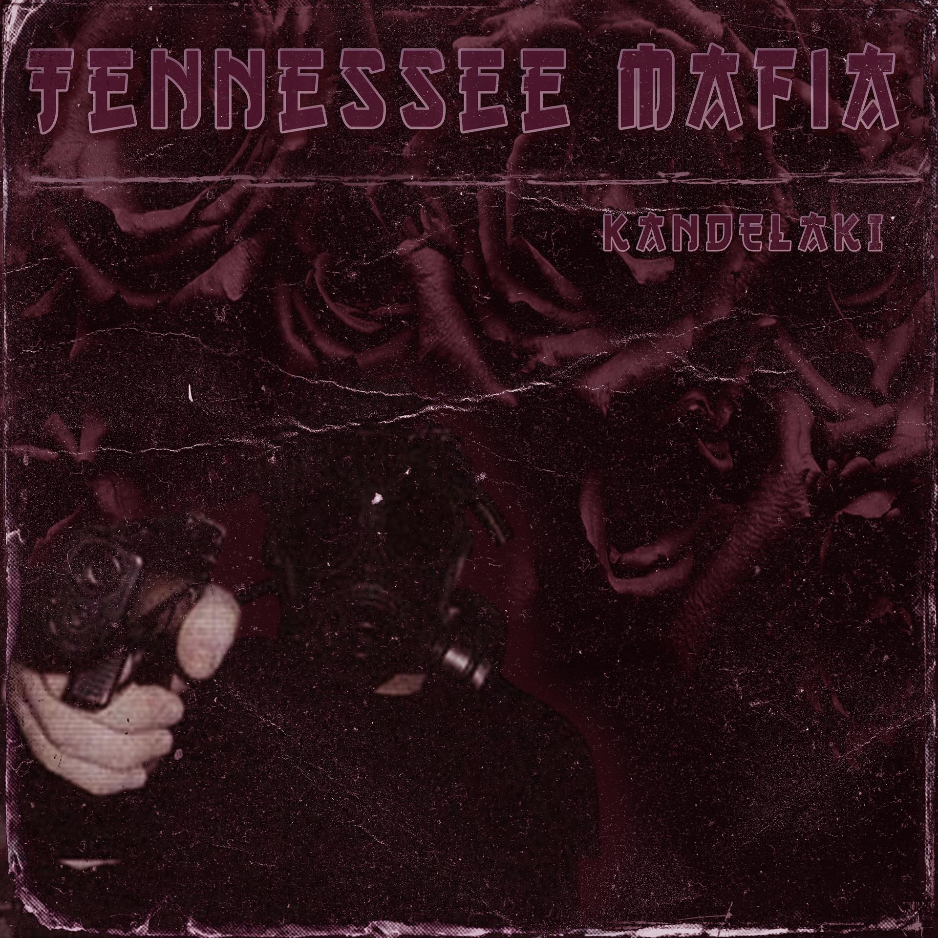 Постер альбома Tennessee Mafia