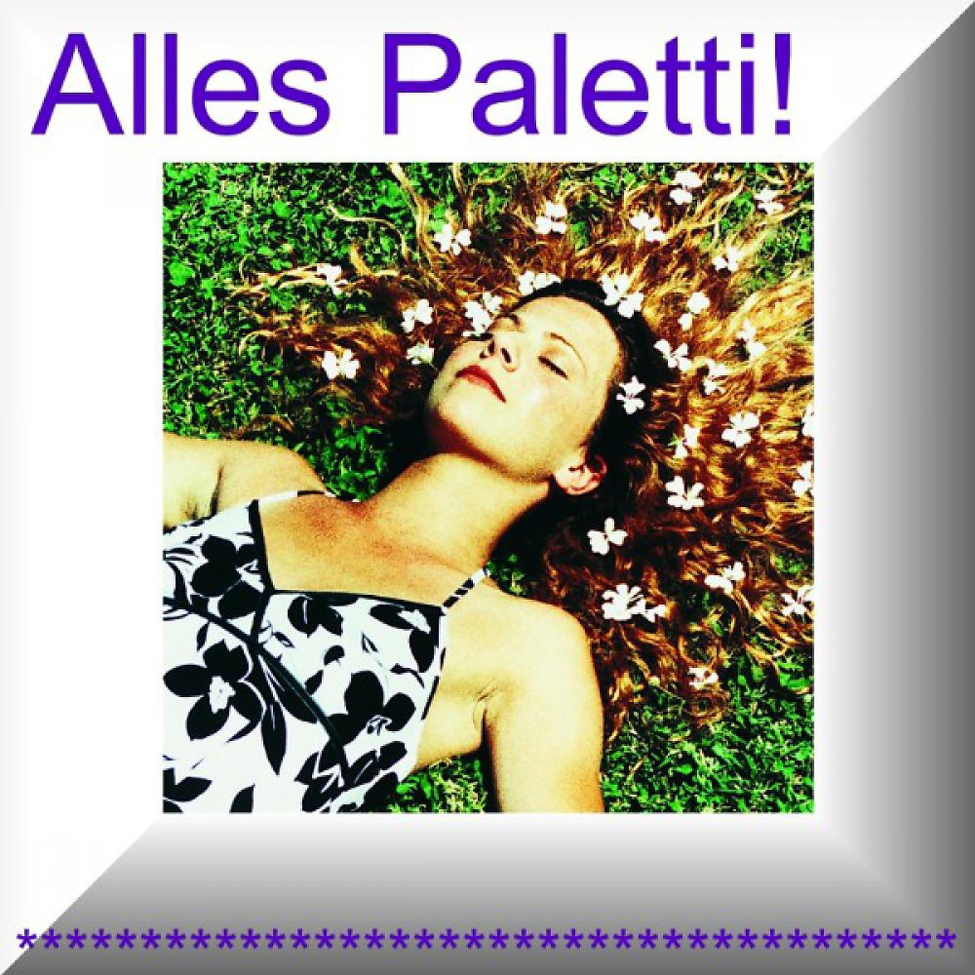 Постер альбома Alles Paletti
