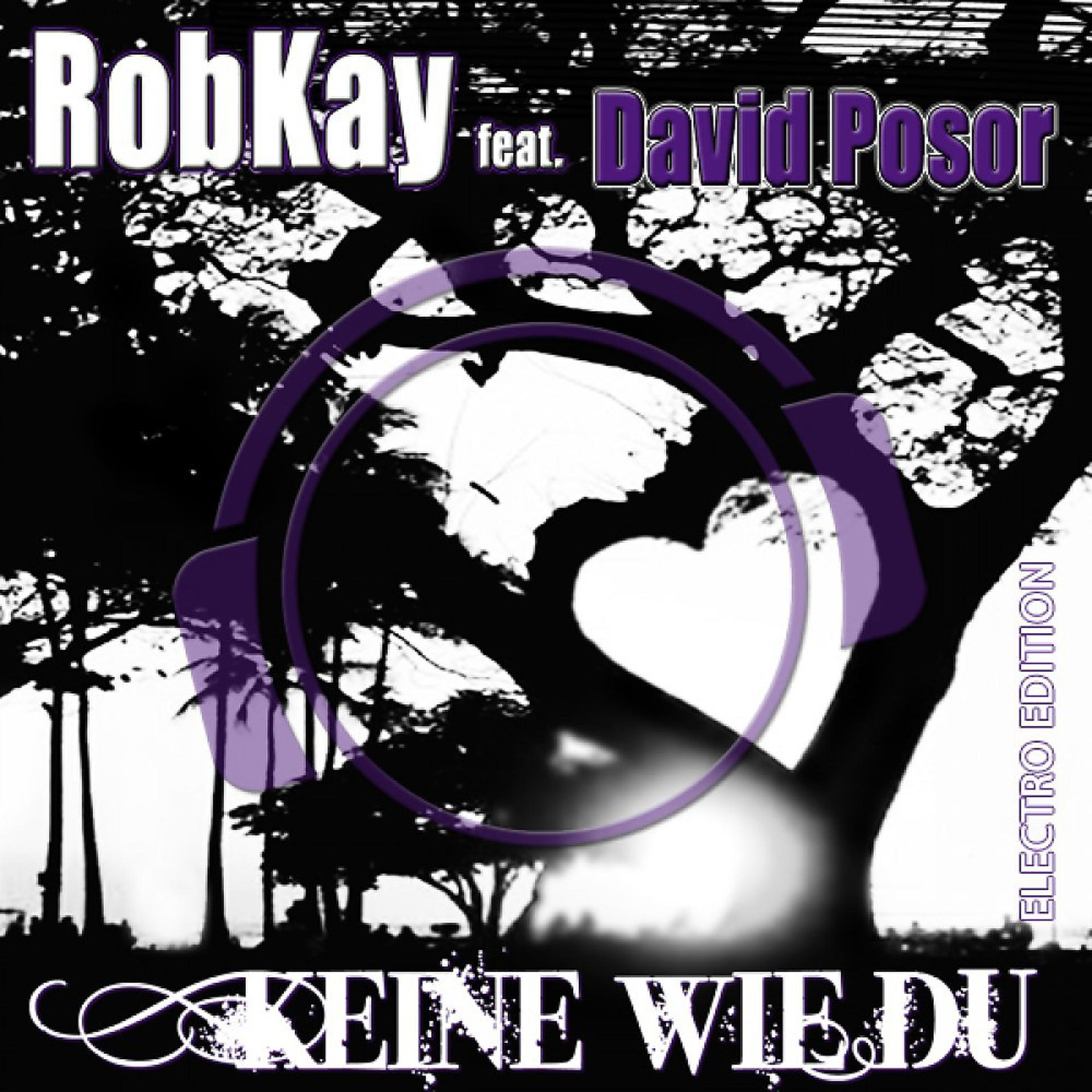 Постер альбома Keine wie Du (Electro Edition)