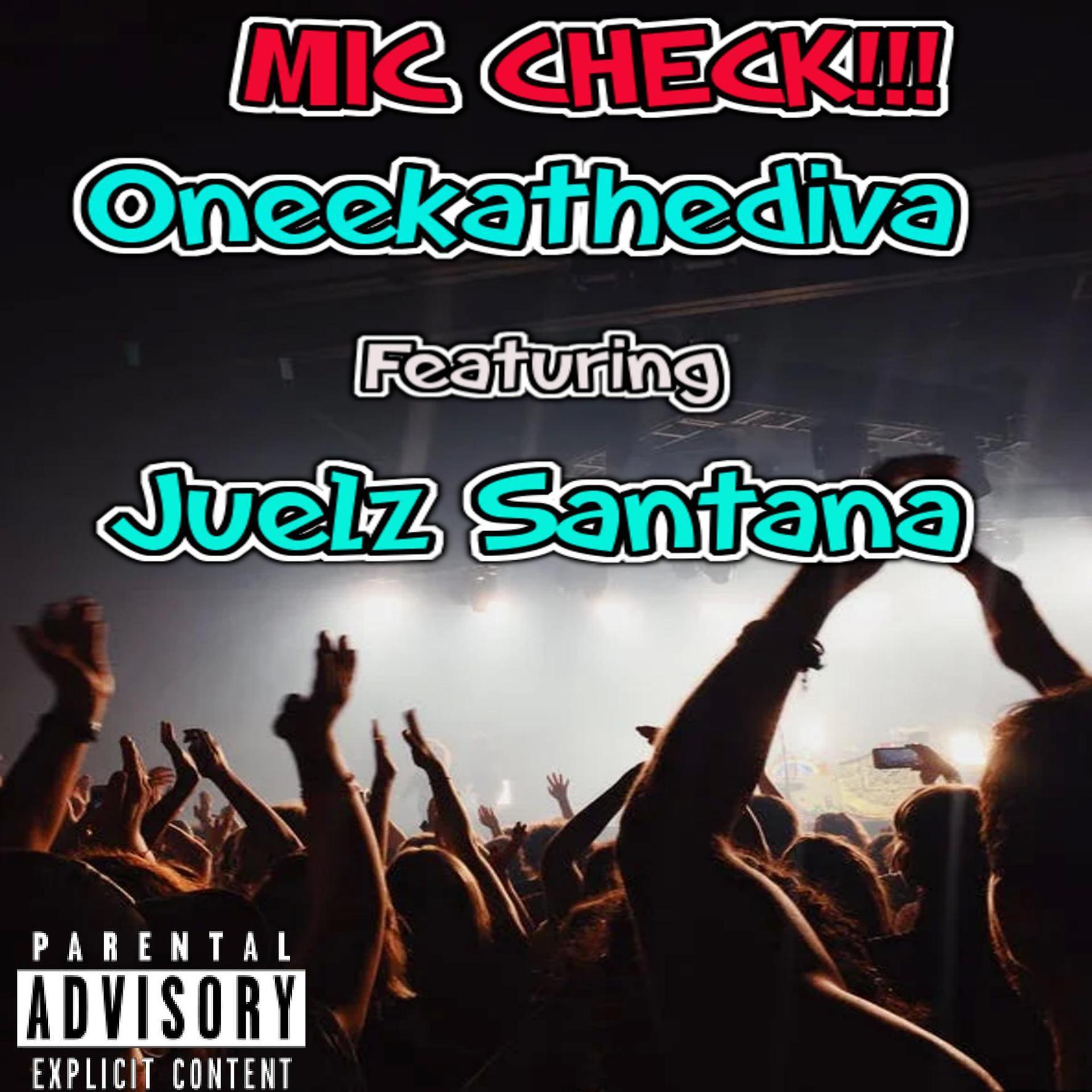Постер альбома Mic Check (feat. Juelz Santana)
