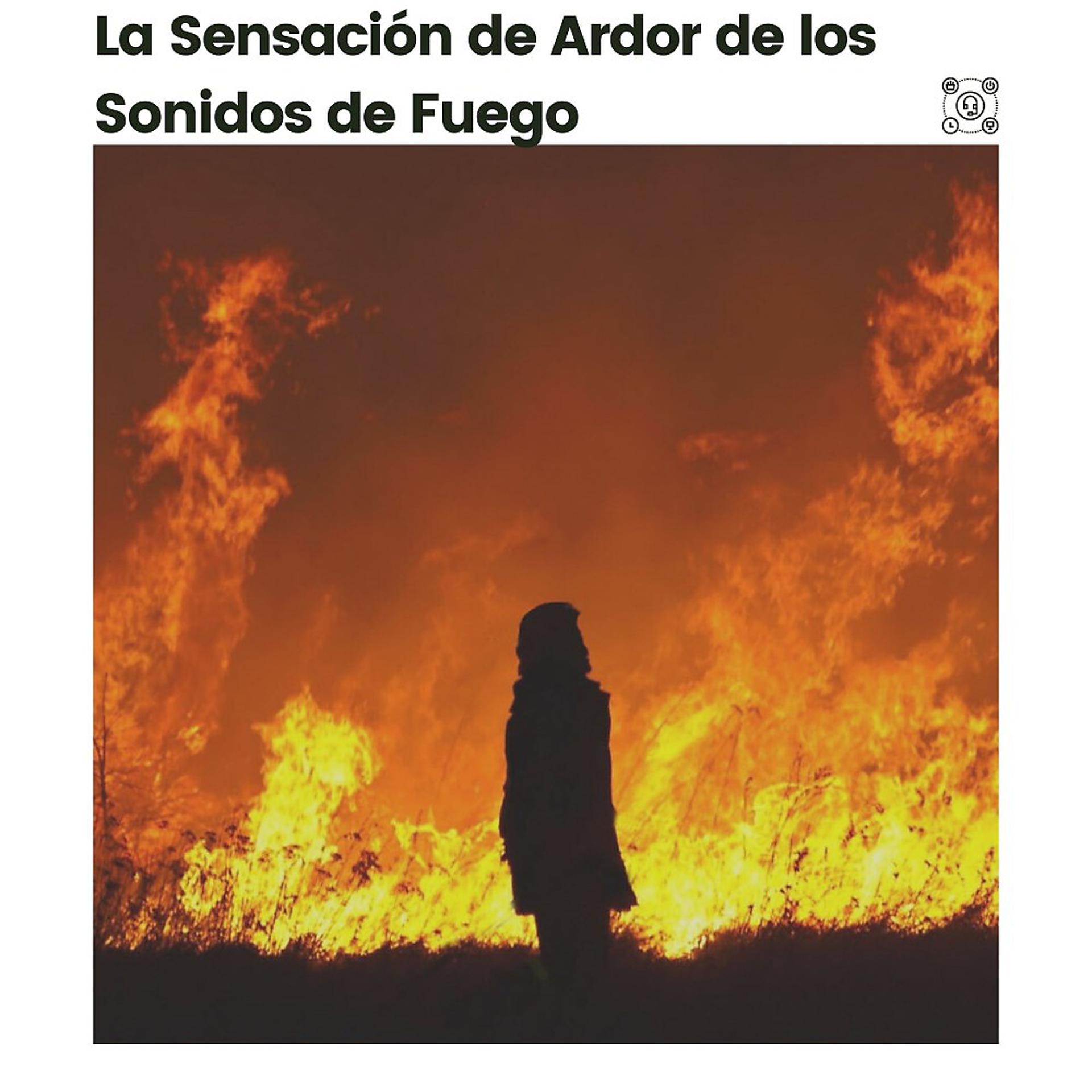 Постер альбома La Sensación de Ardor de los Sonidos de Fuego