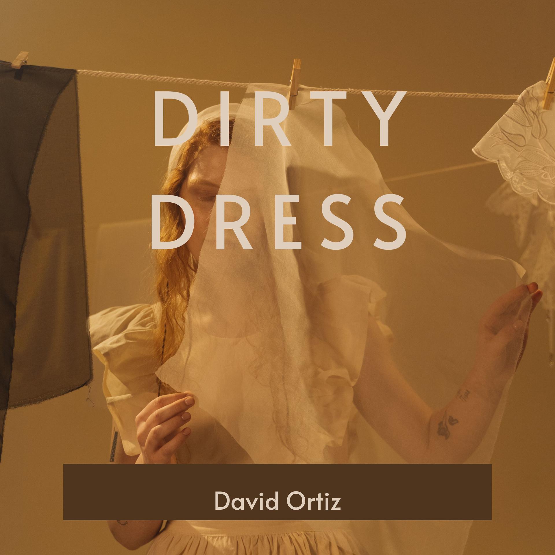Постер альбома Dirty Dress