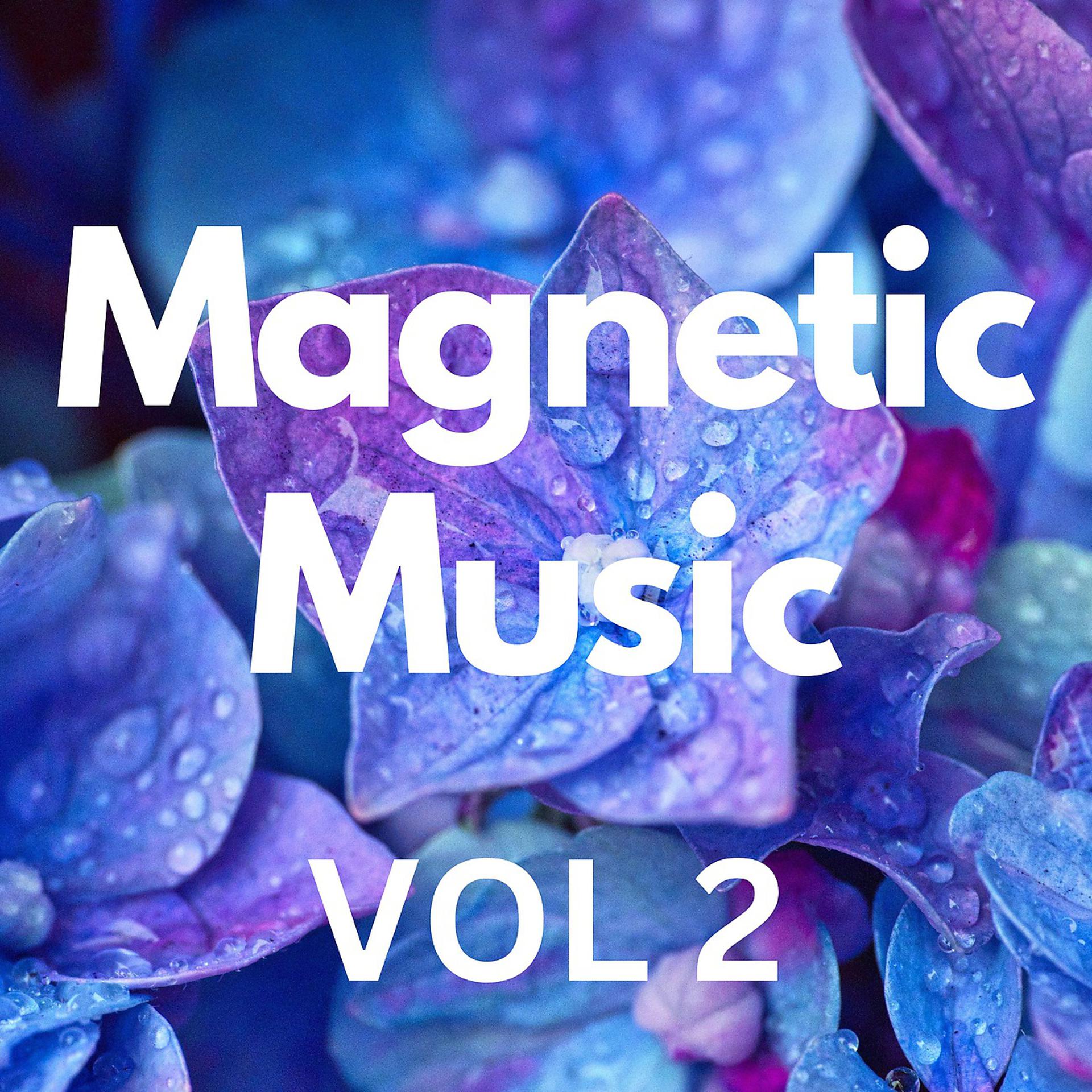 Постер альбома Magnetic Music Vol 2