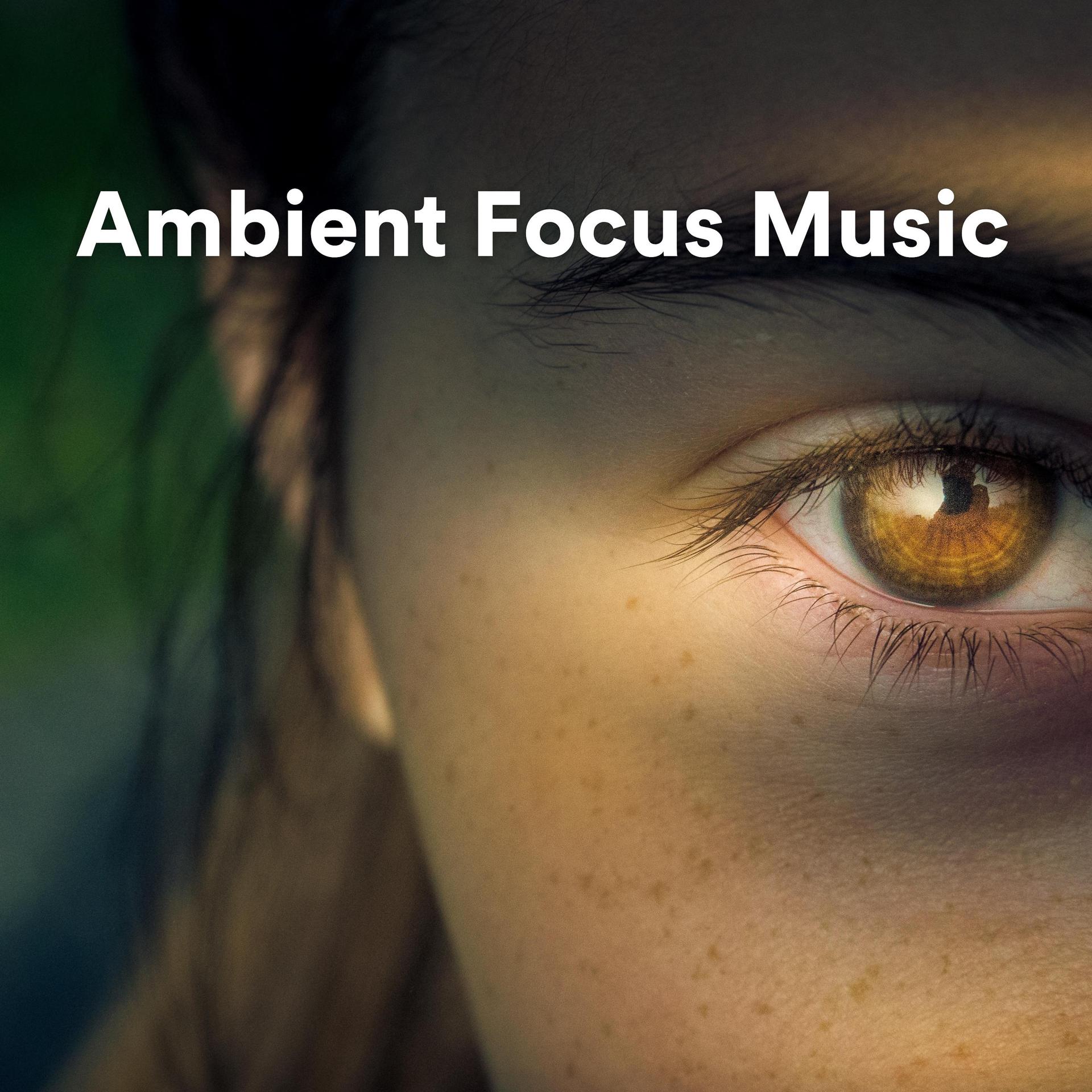 Постер альбома Ambient Focus Music