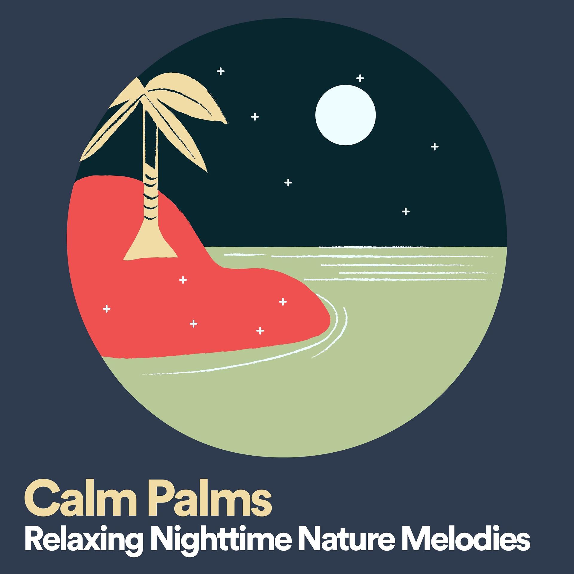 Постер альбома Calm Palms Relaxing Nighttime Nature Melodies