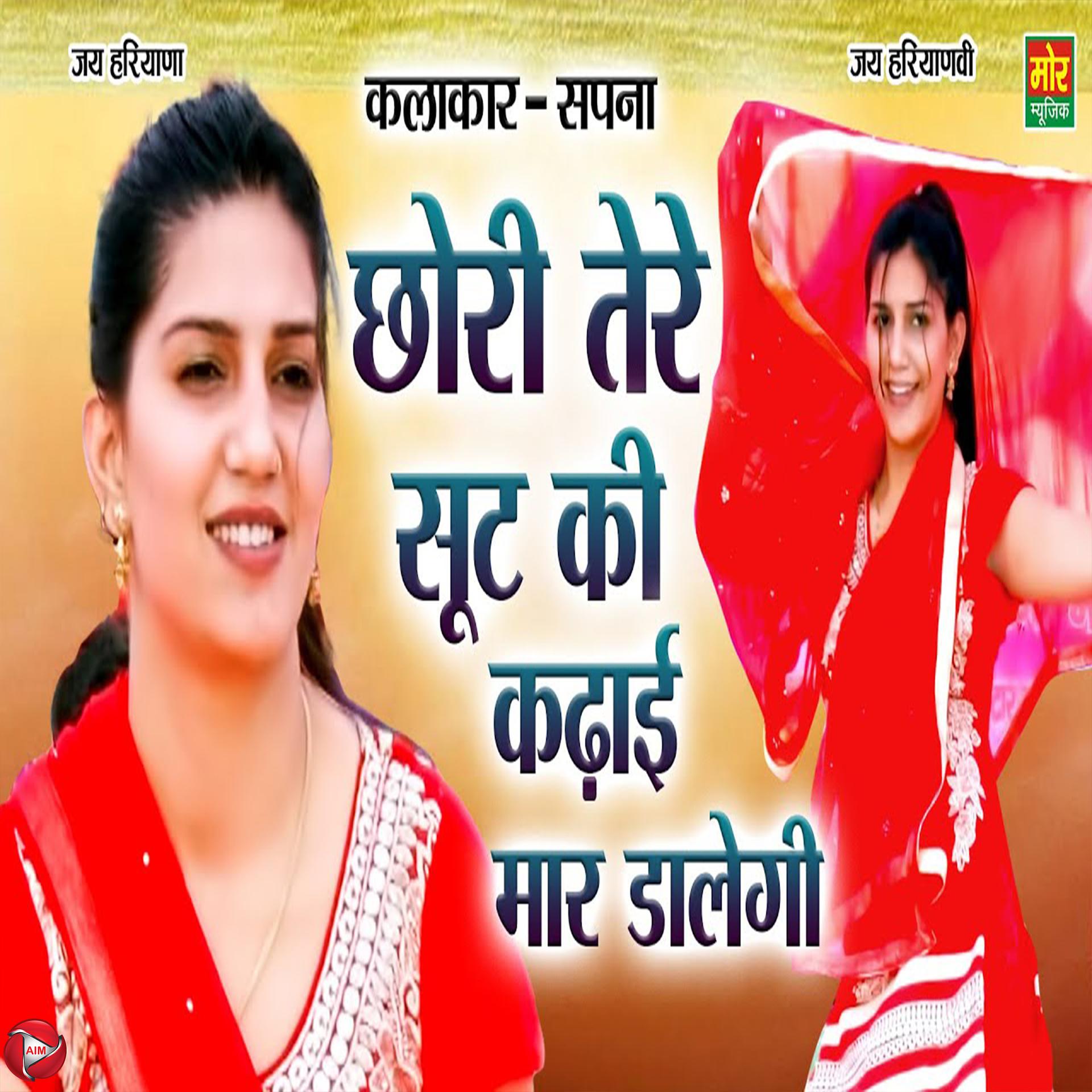 Постер альбома Chhori Tere Suit Ki Kadhai Maar Dalegi
