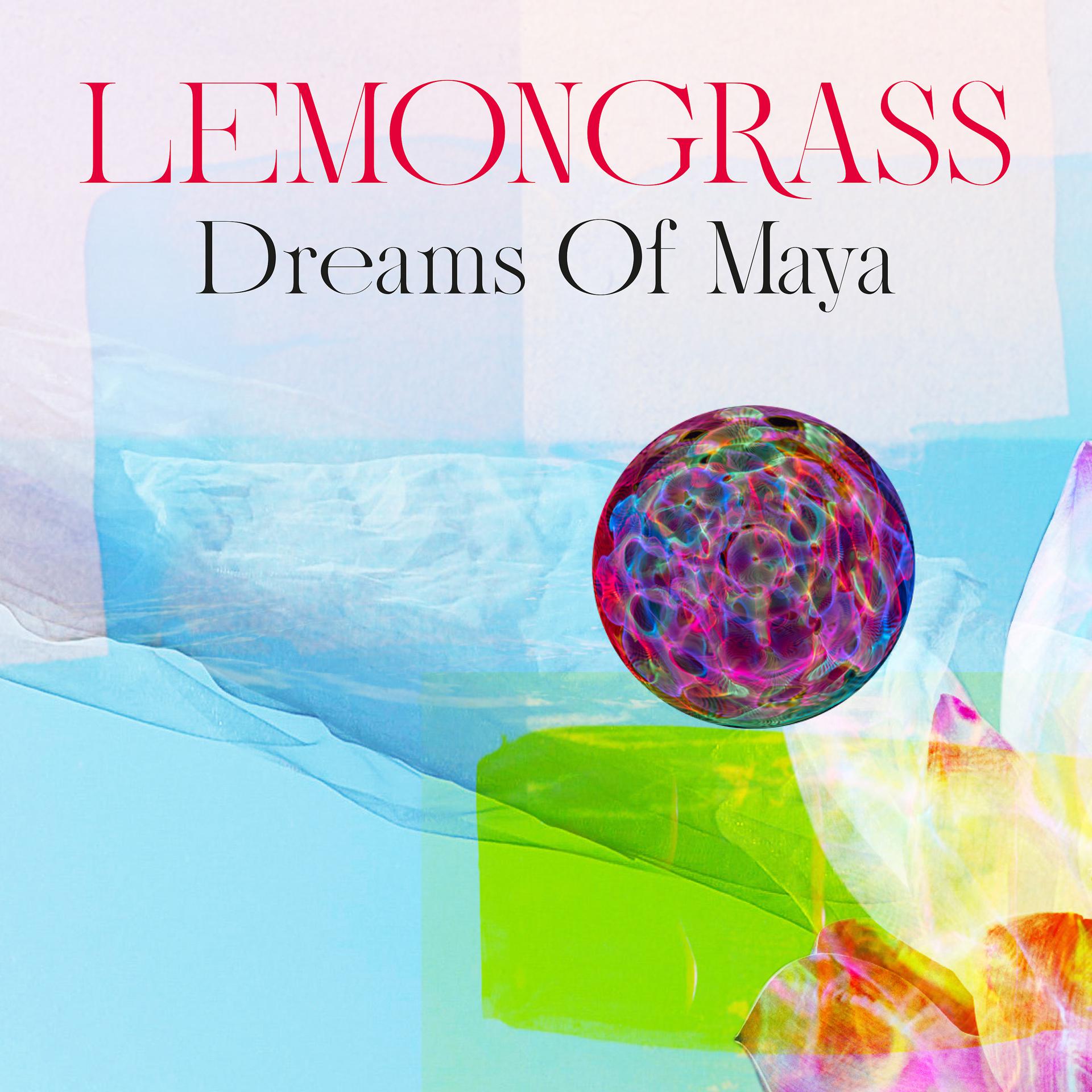 Постер альбома Dreams Of Maya