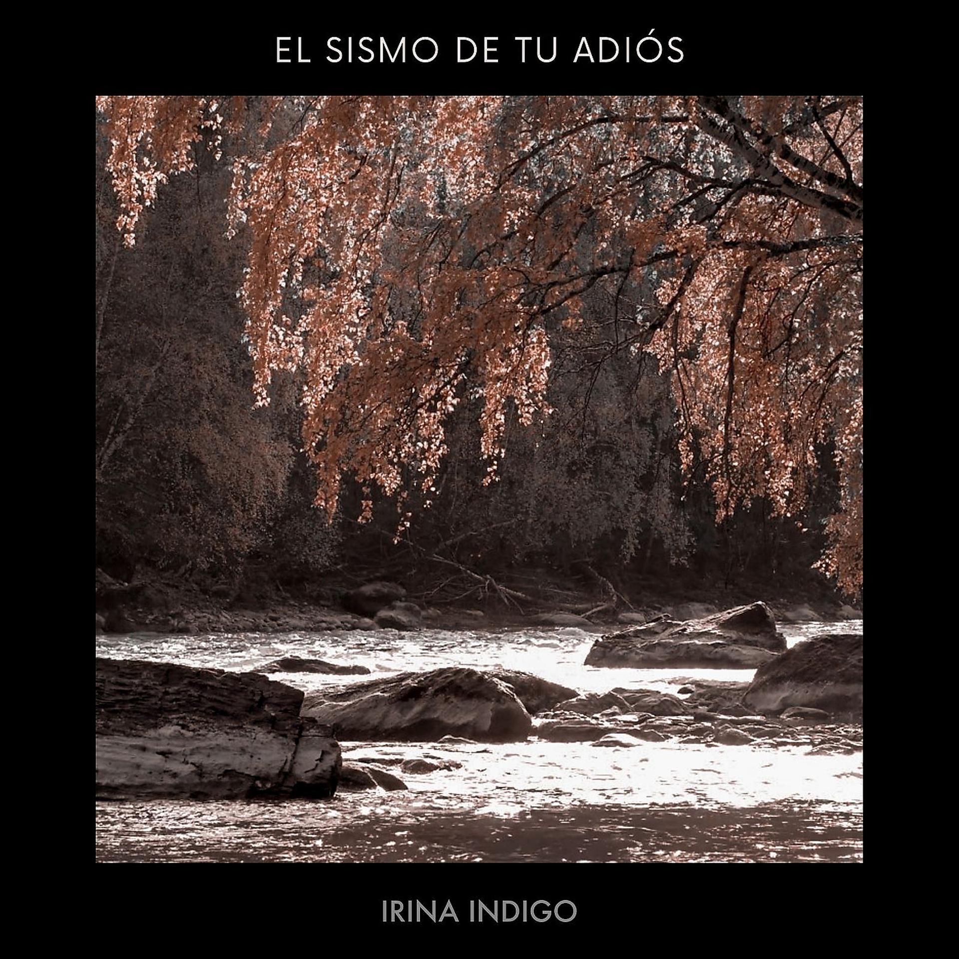Постер альбома El Sismo De Tu Adiós