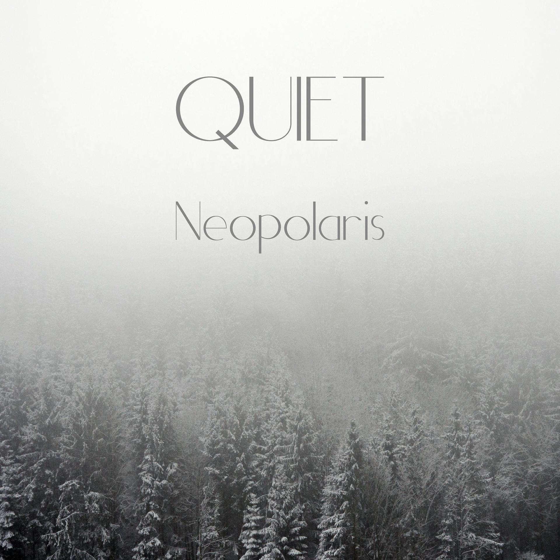 Постер альбома Neopolaris