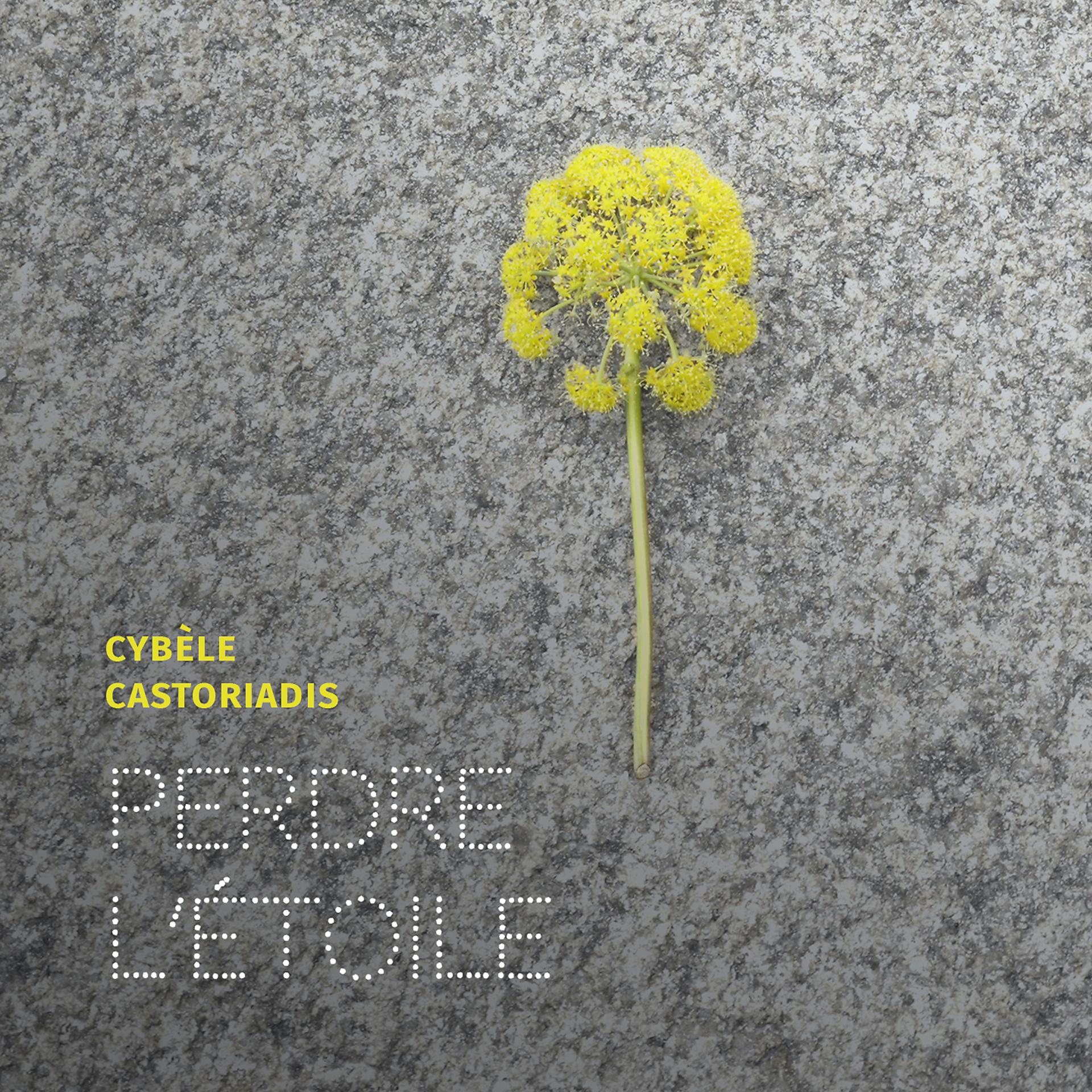 Постер альбома Perdre l'Étoile