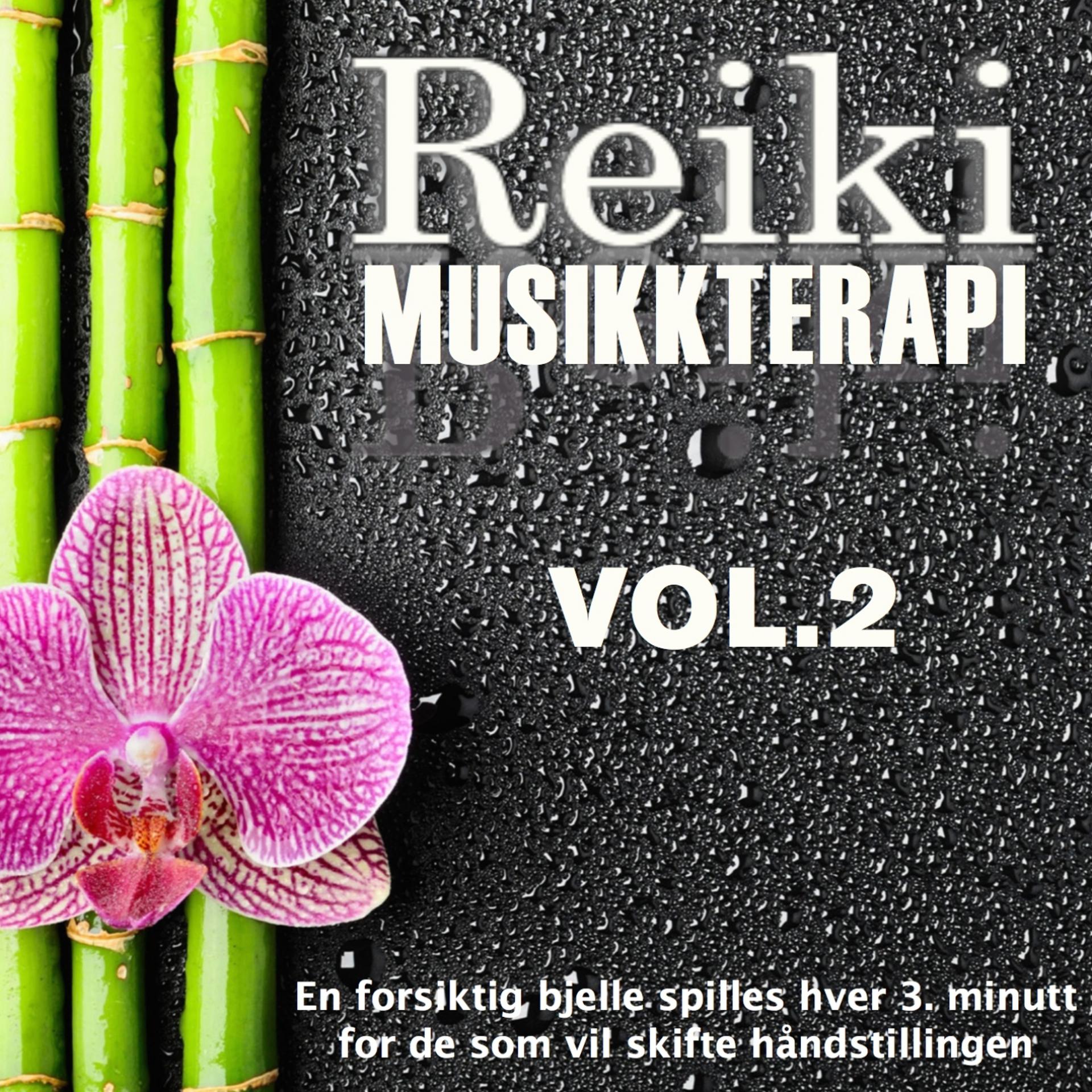 Постер альбома Reiki Musikkterapi, Vol. 2