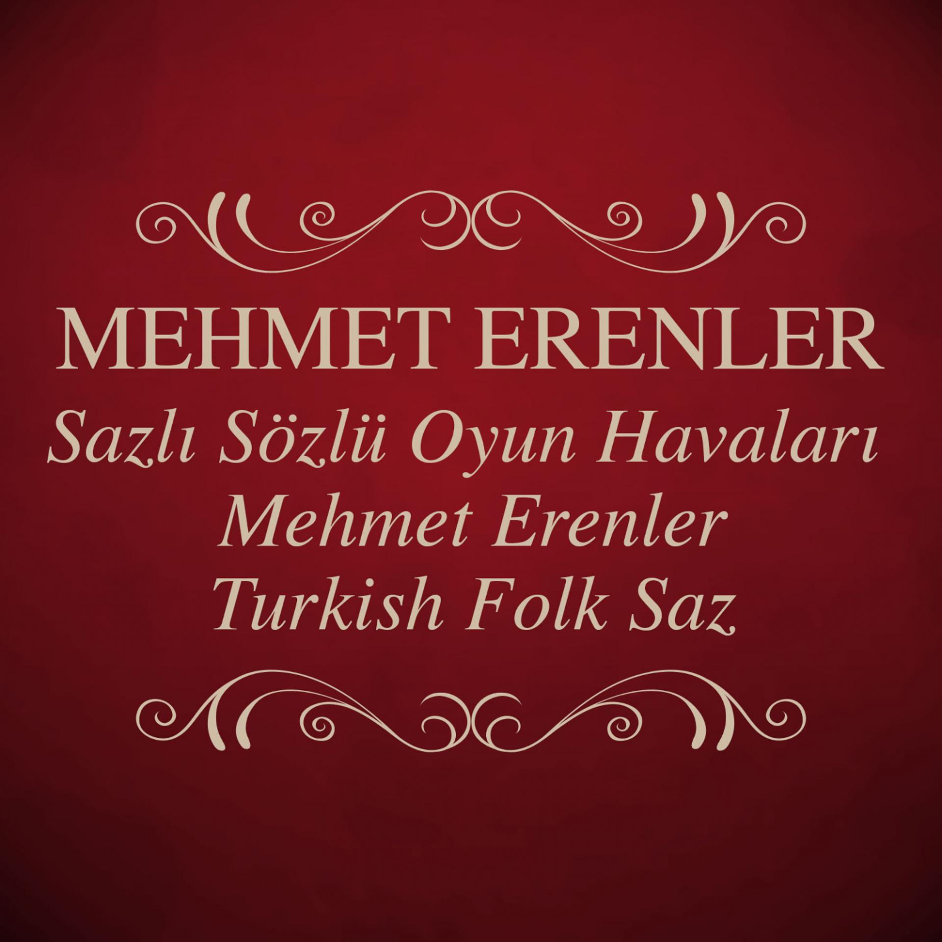 Постер альбома Sazlı Sözlü Oyun Havaları Mehmet Erenler - Turkish Folk Saz