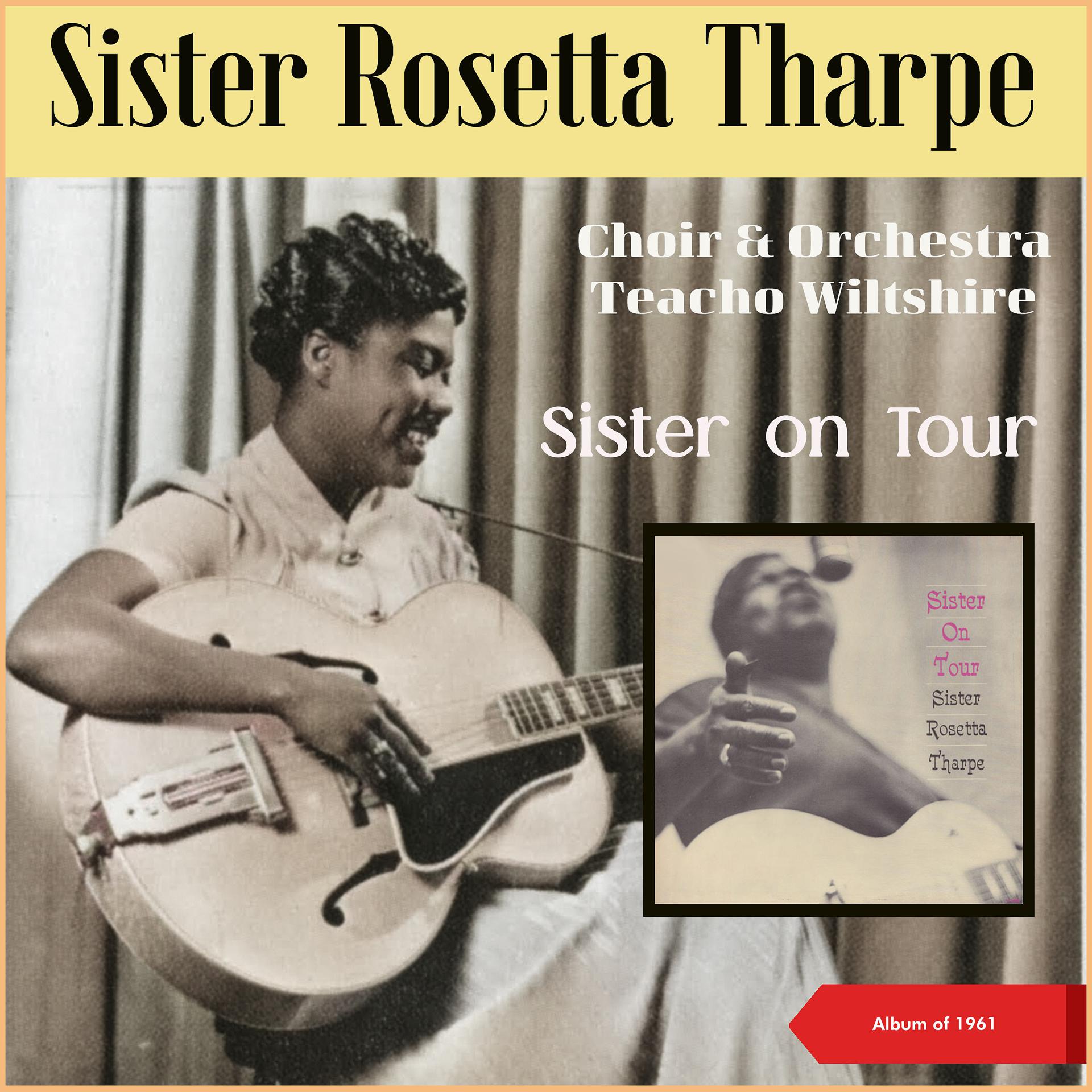 Постер альбома Sister on Tour