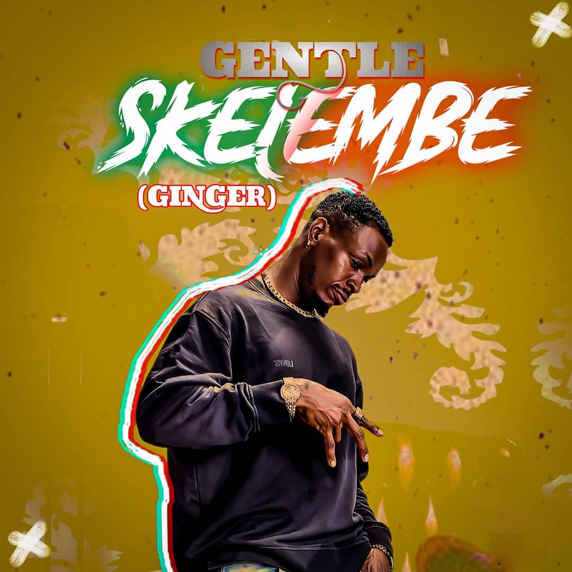 Постер альбома Skelembe (Ginger)