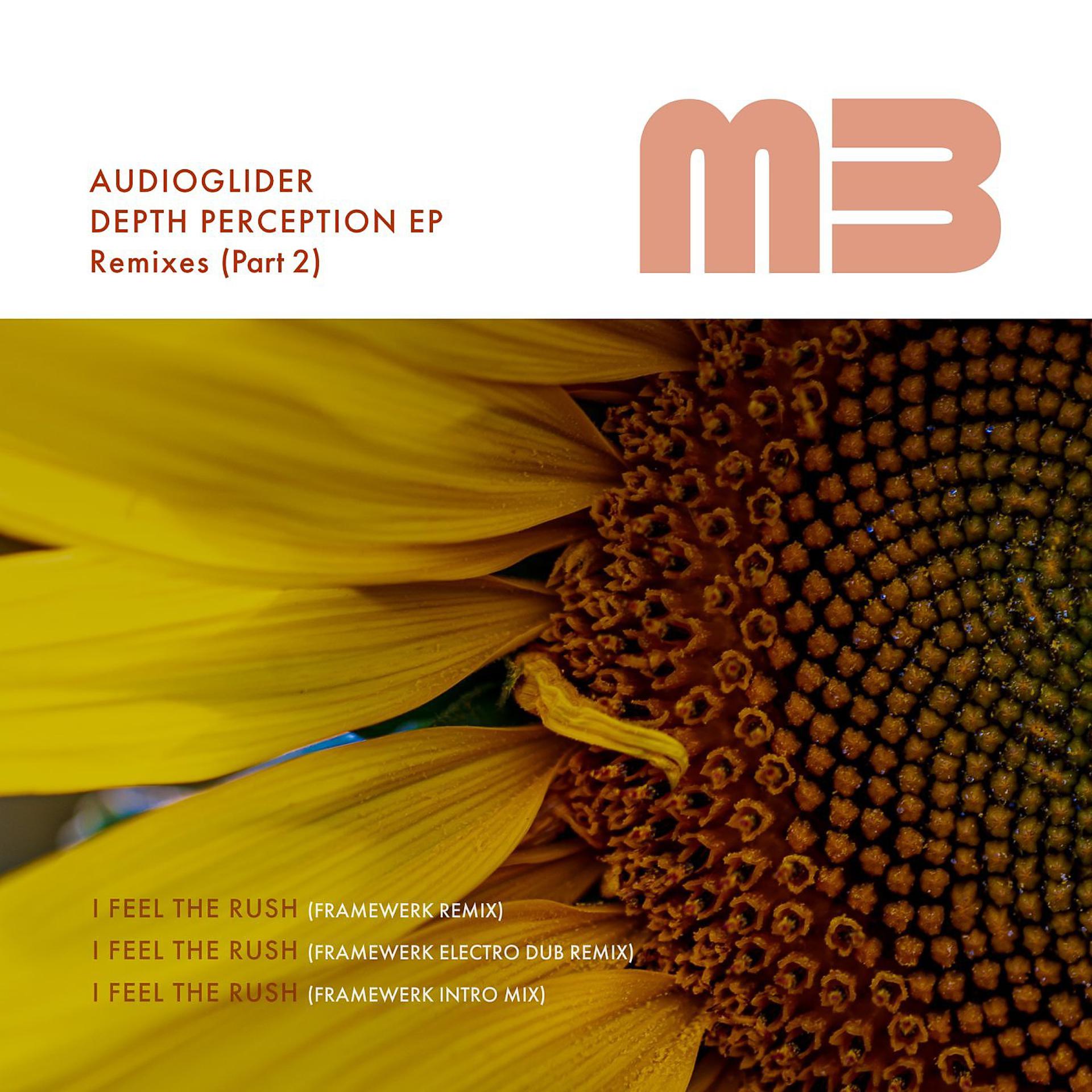 Постер альбома Depth Perception EP (The Remixes, Pt. 2)