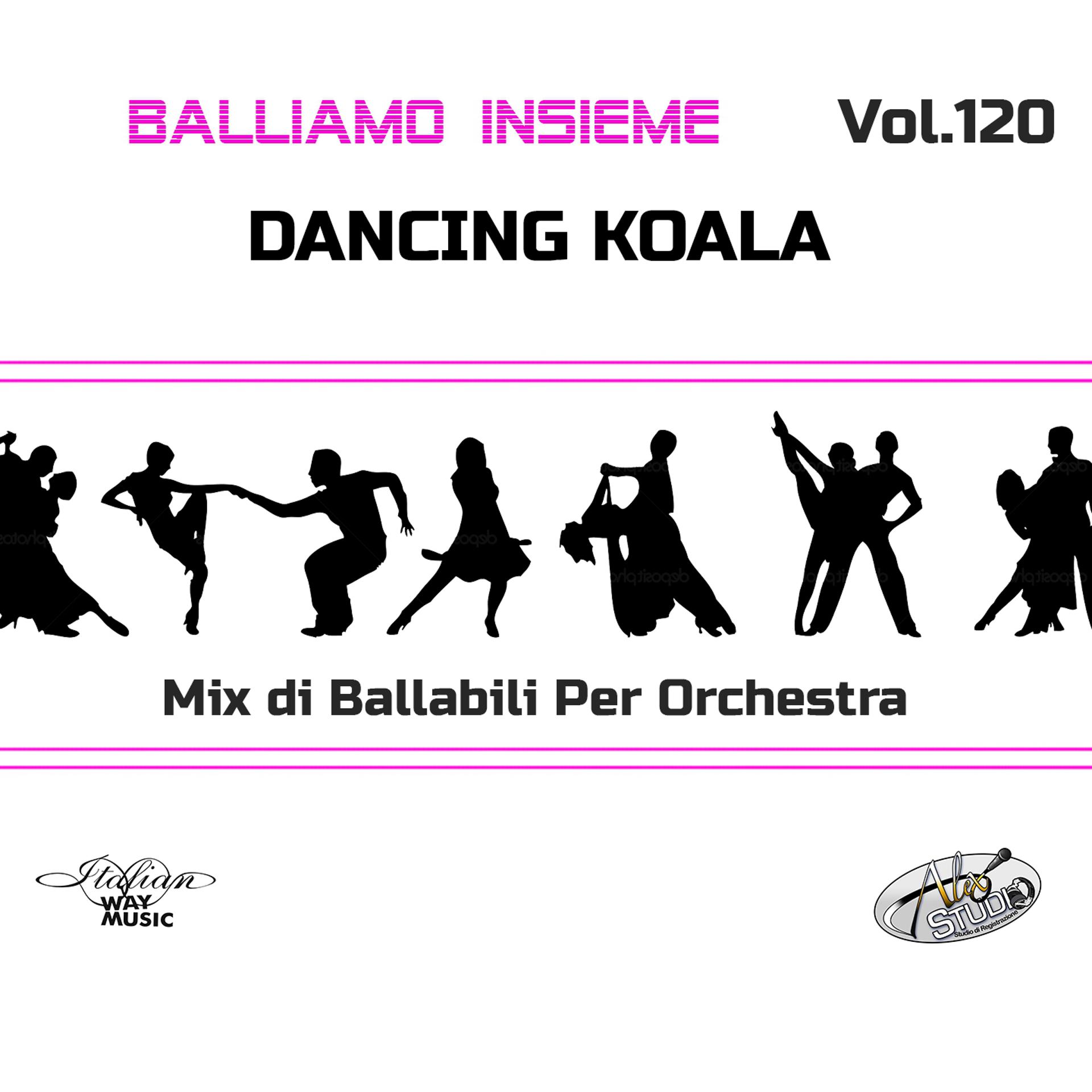 Постер альбома Balliamo insieme, Vol. 120 (Mix di ballabili per orchestra)