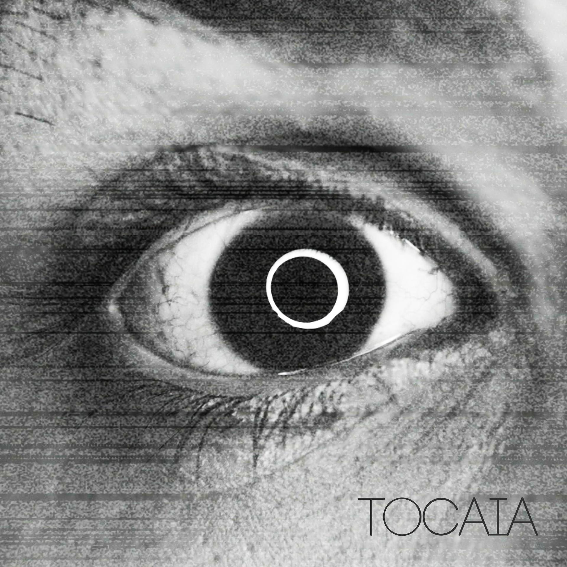 Постер альбома Tocaia
