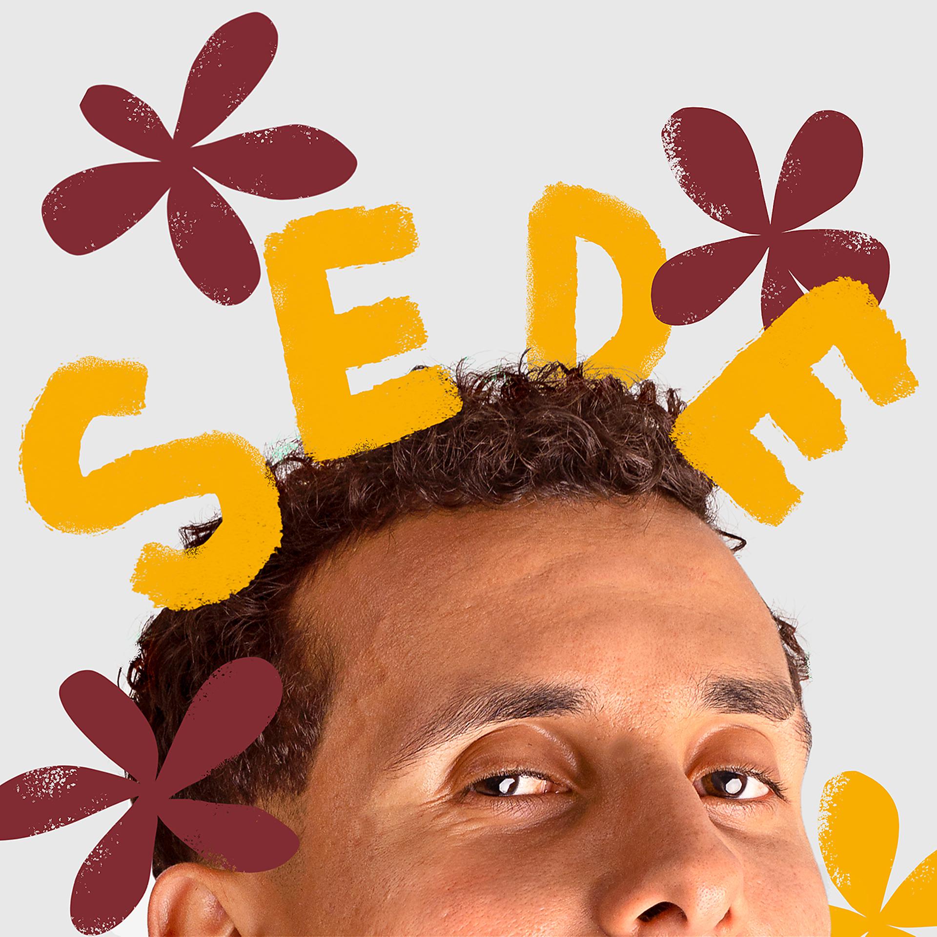 Постер альбома Sede