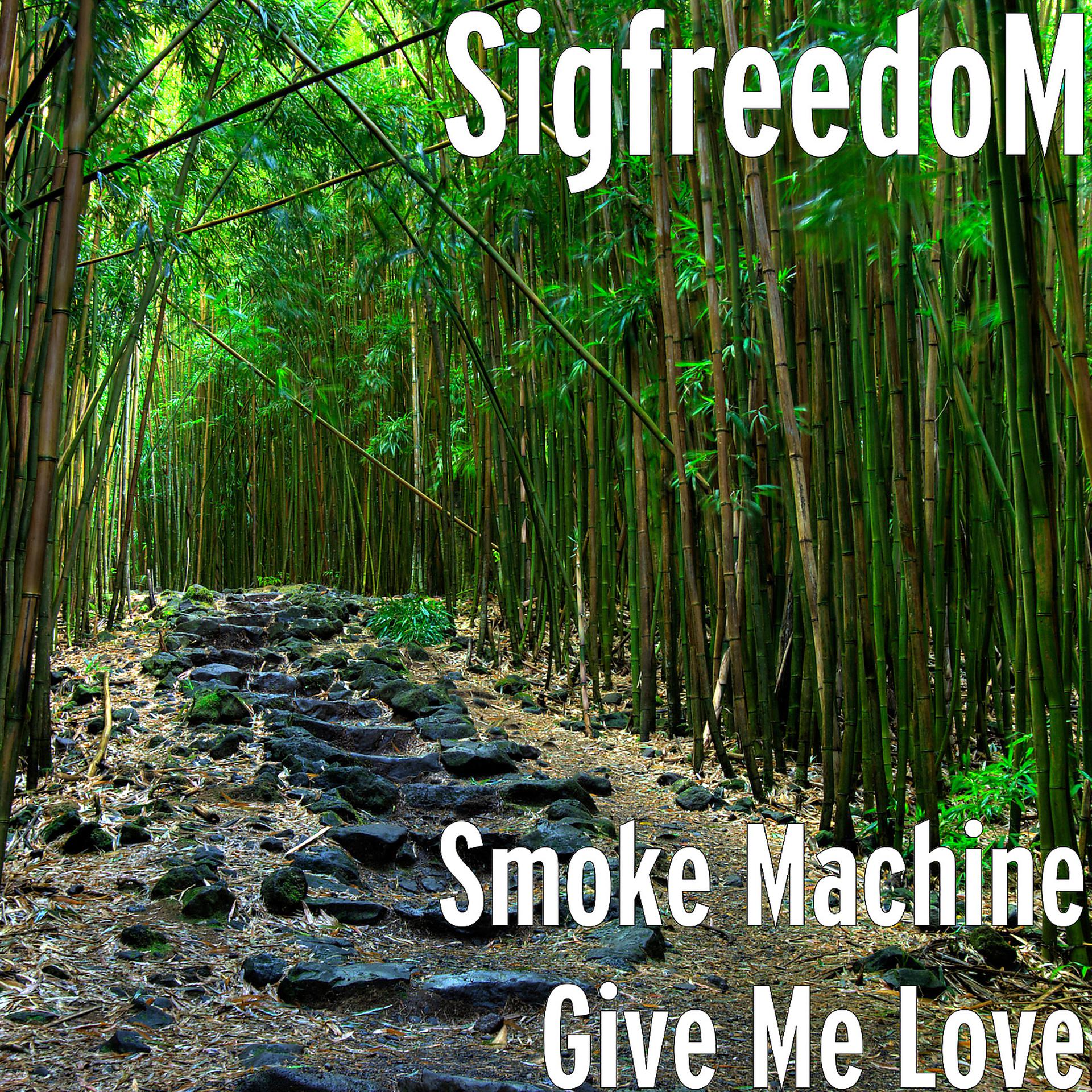Постер альбома Smoke Machine Give Me Love