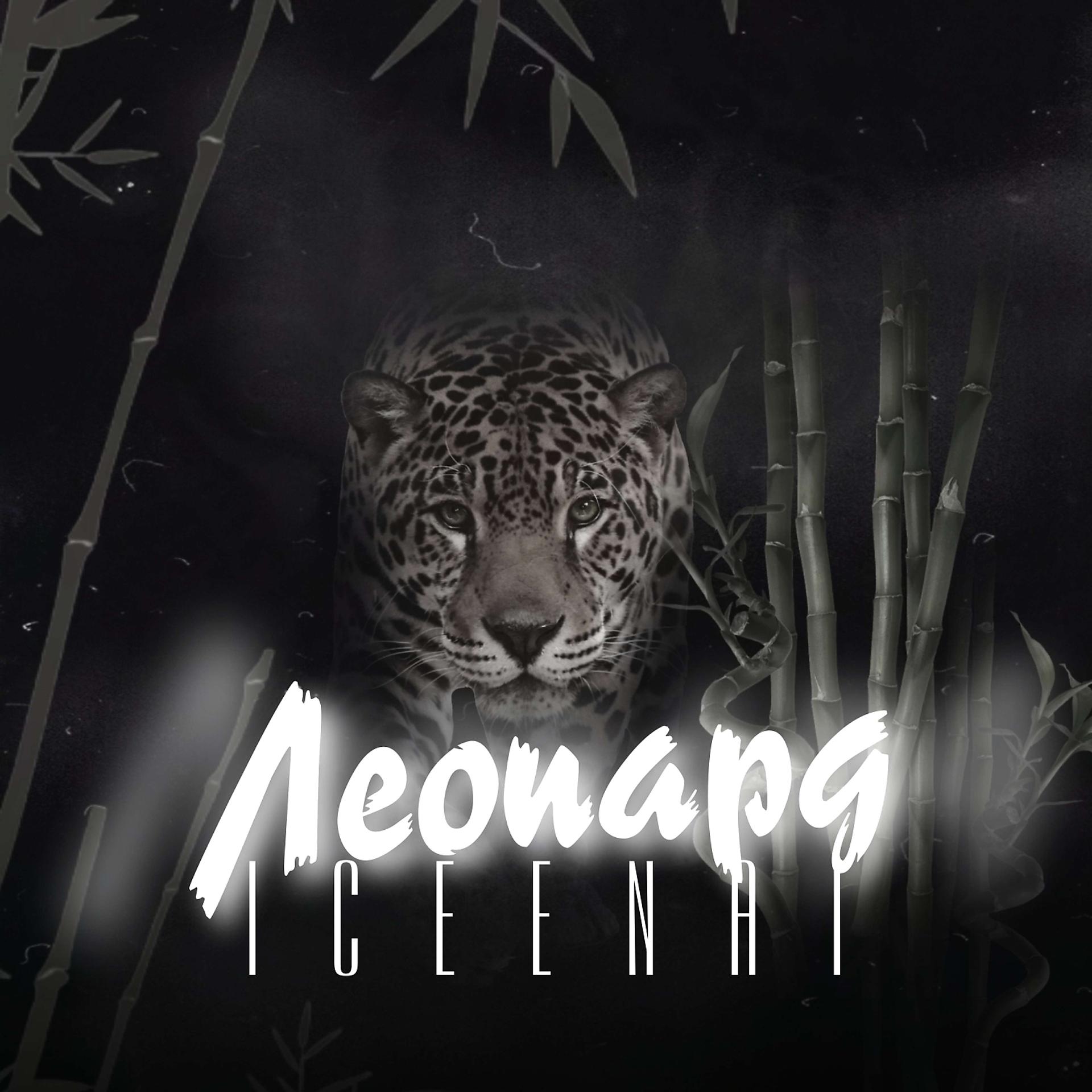 Постер альбома Леопард
