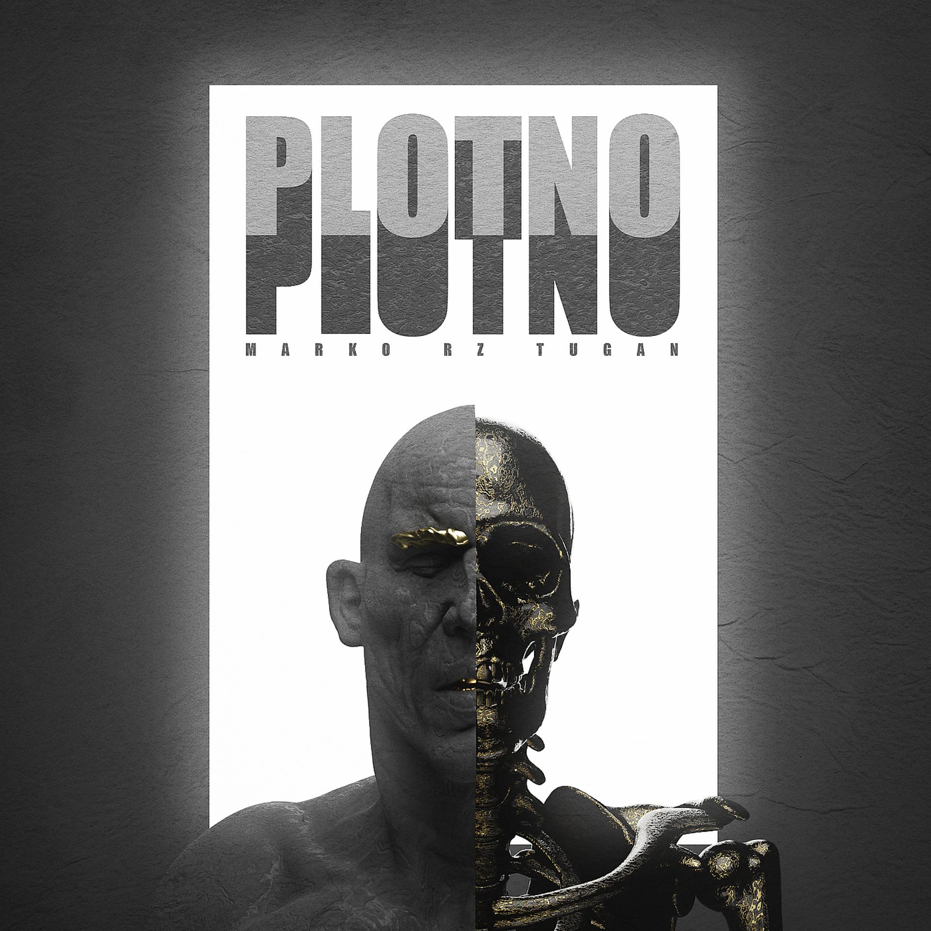 Постер альбома Plotno