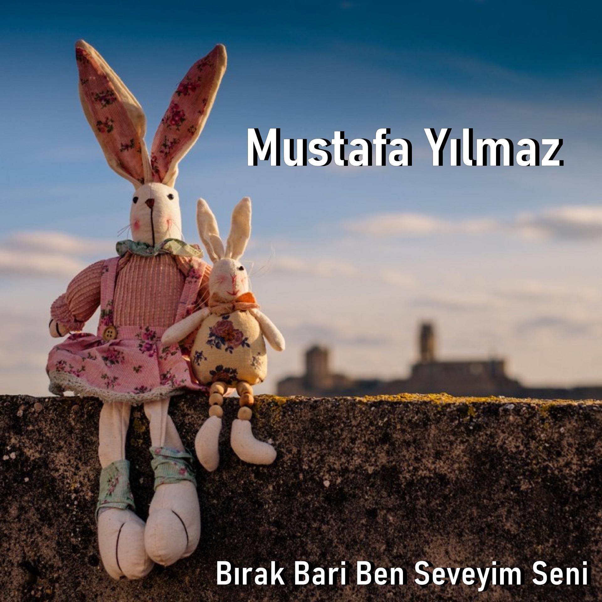 Постер альбома Bırak Bari Ben Seveyim Seni