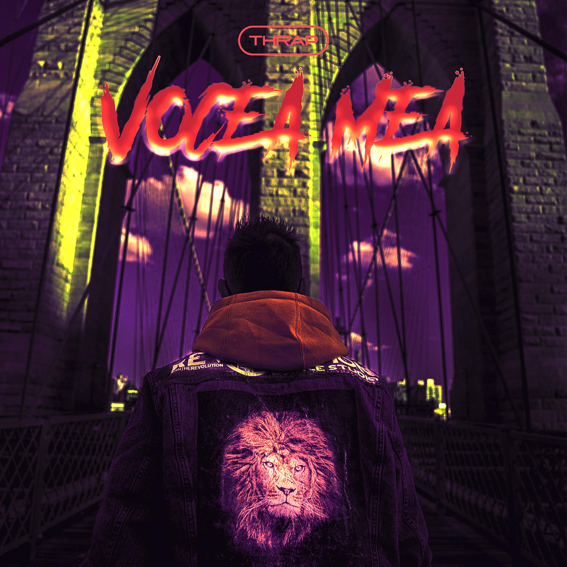 Постер альбома Vocea Mea