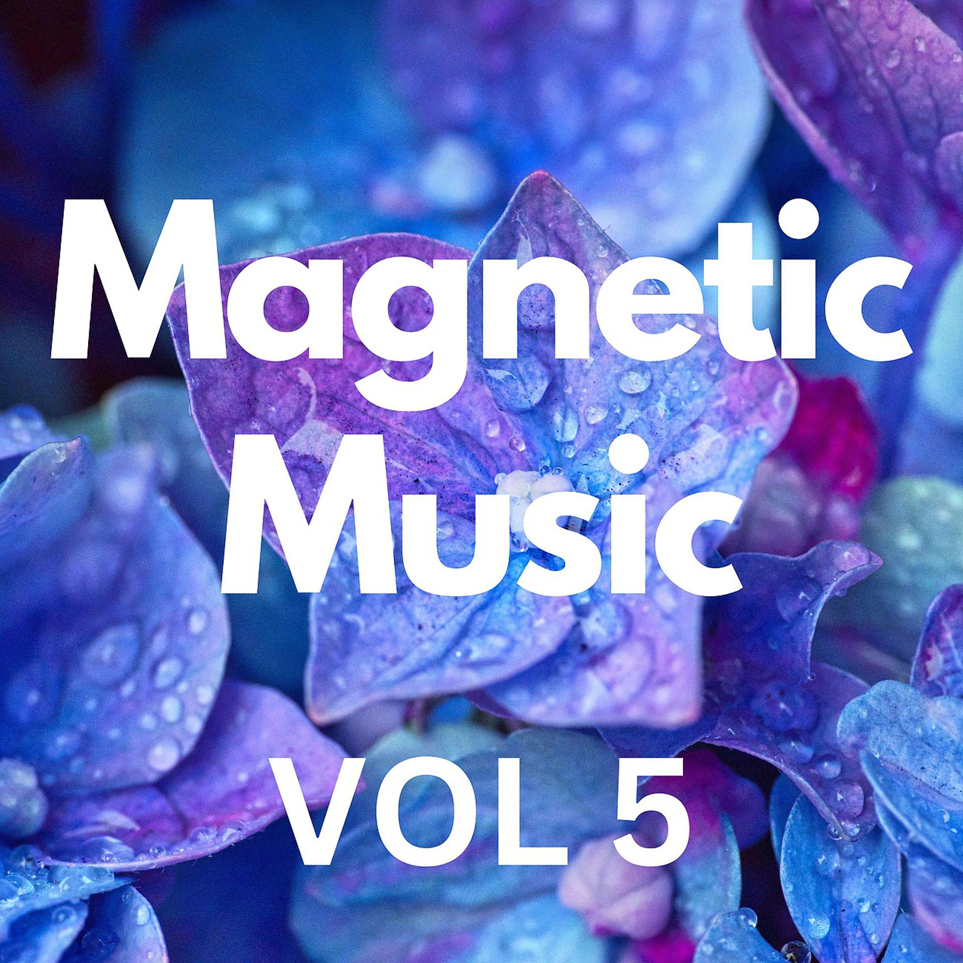 Постер альбома Magnetic Music Vol 5