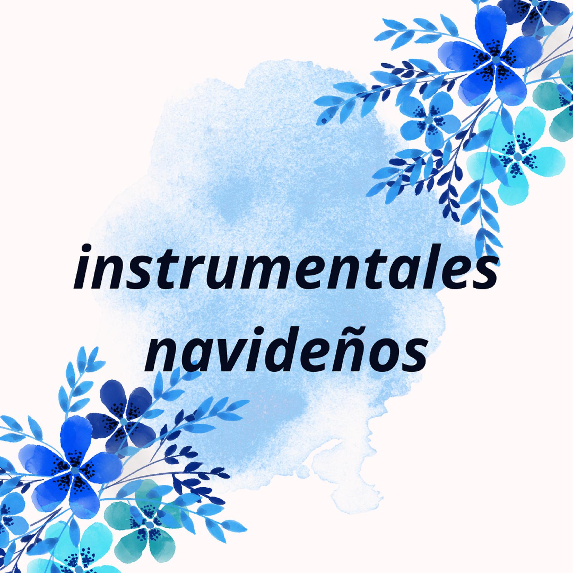 Постер альбома Instrumentales Navideños