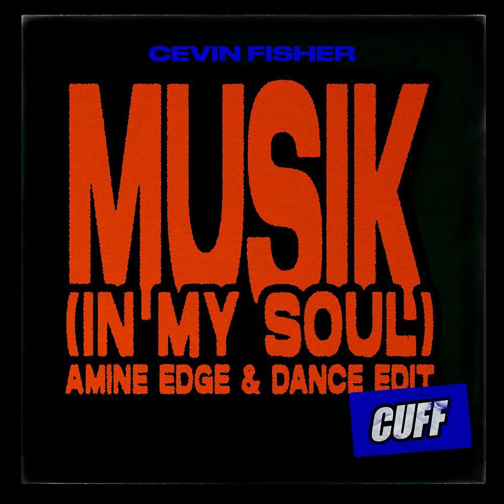 Постер альбома Cevin Fisher - Musik (In My Soul)