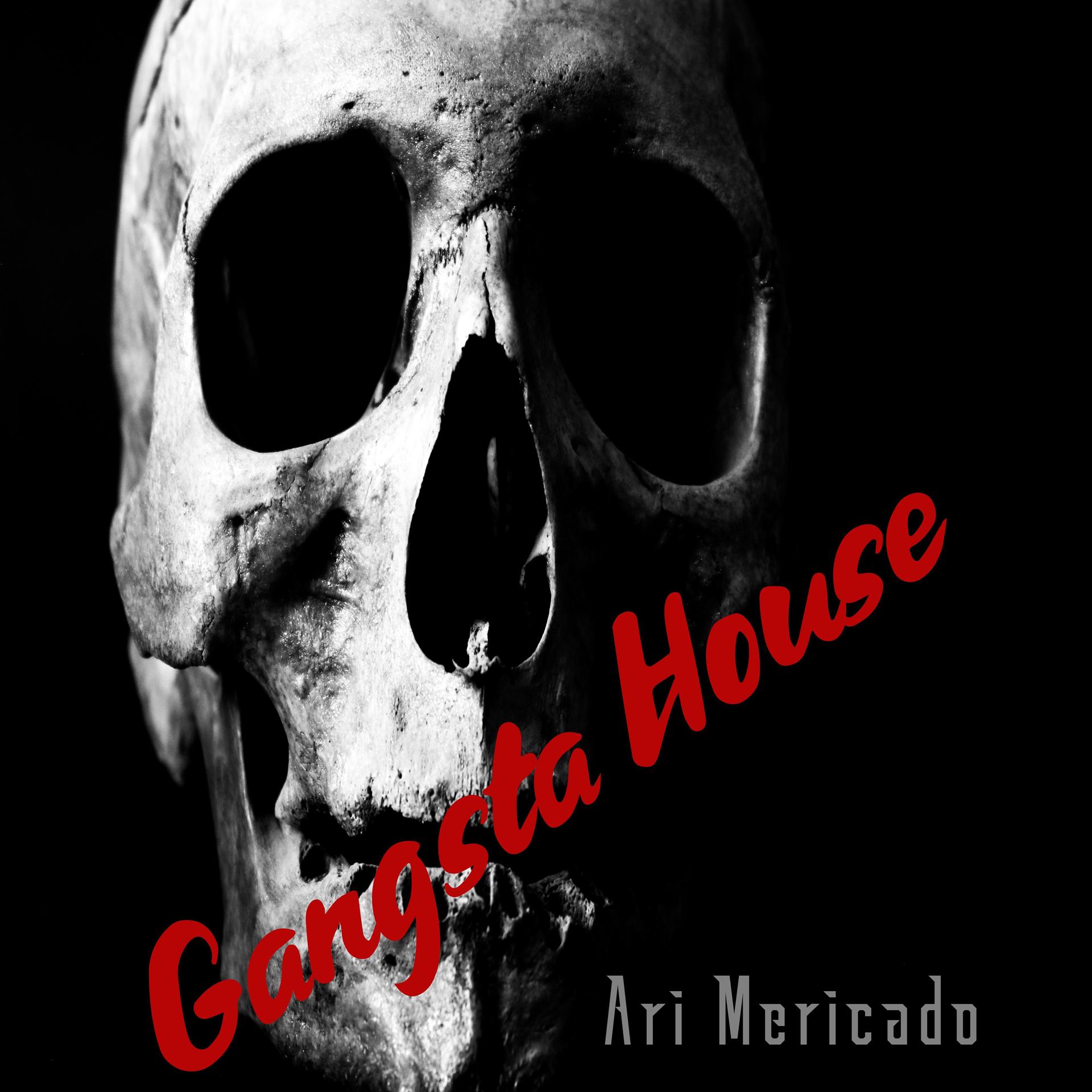 Постер альбома Gangsta House