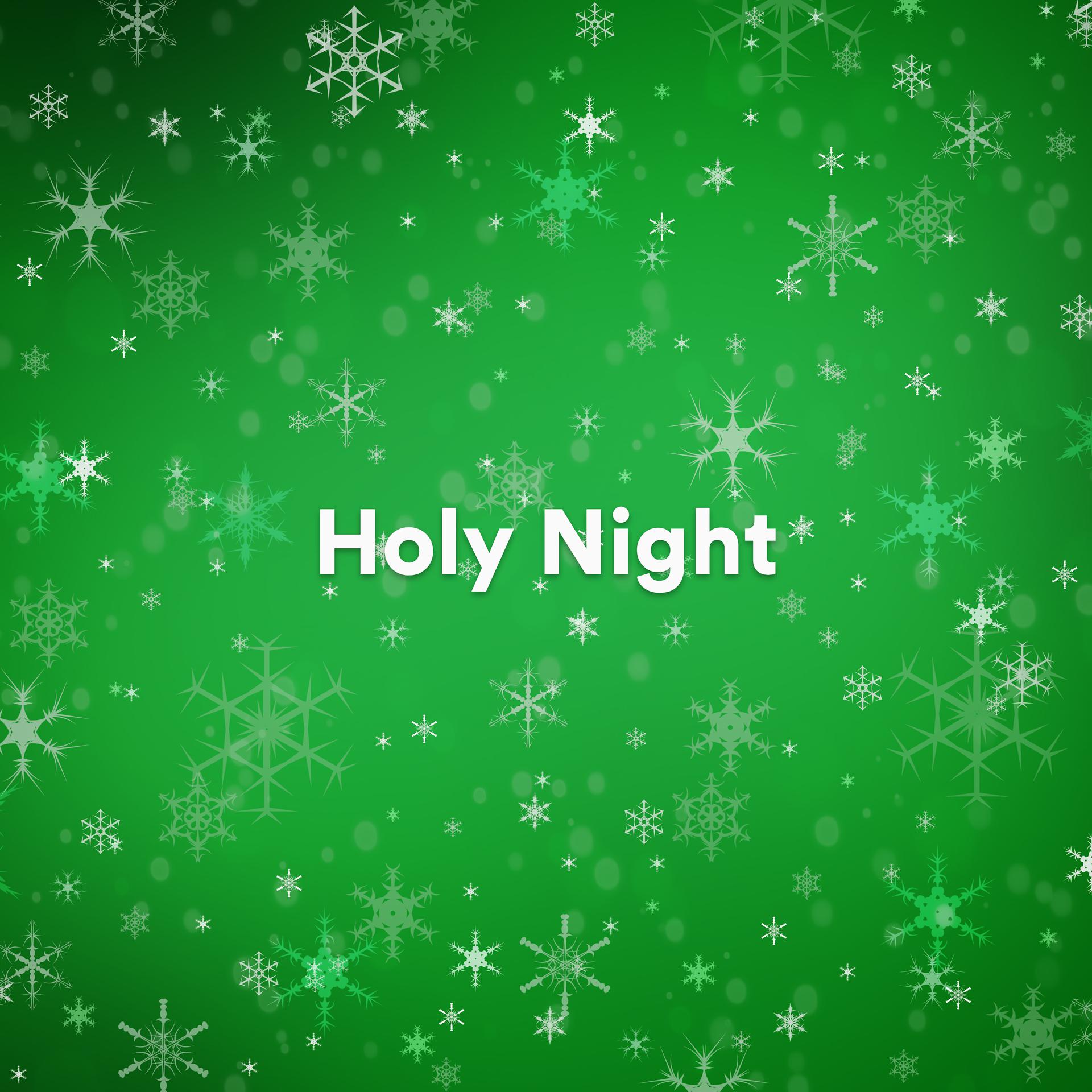 Постер альбома Holy Night