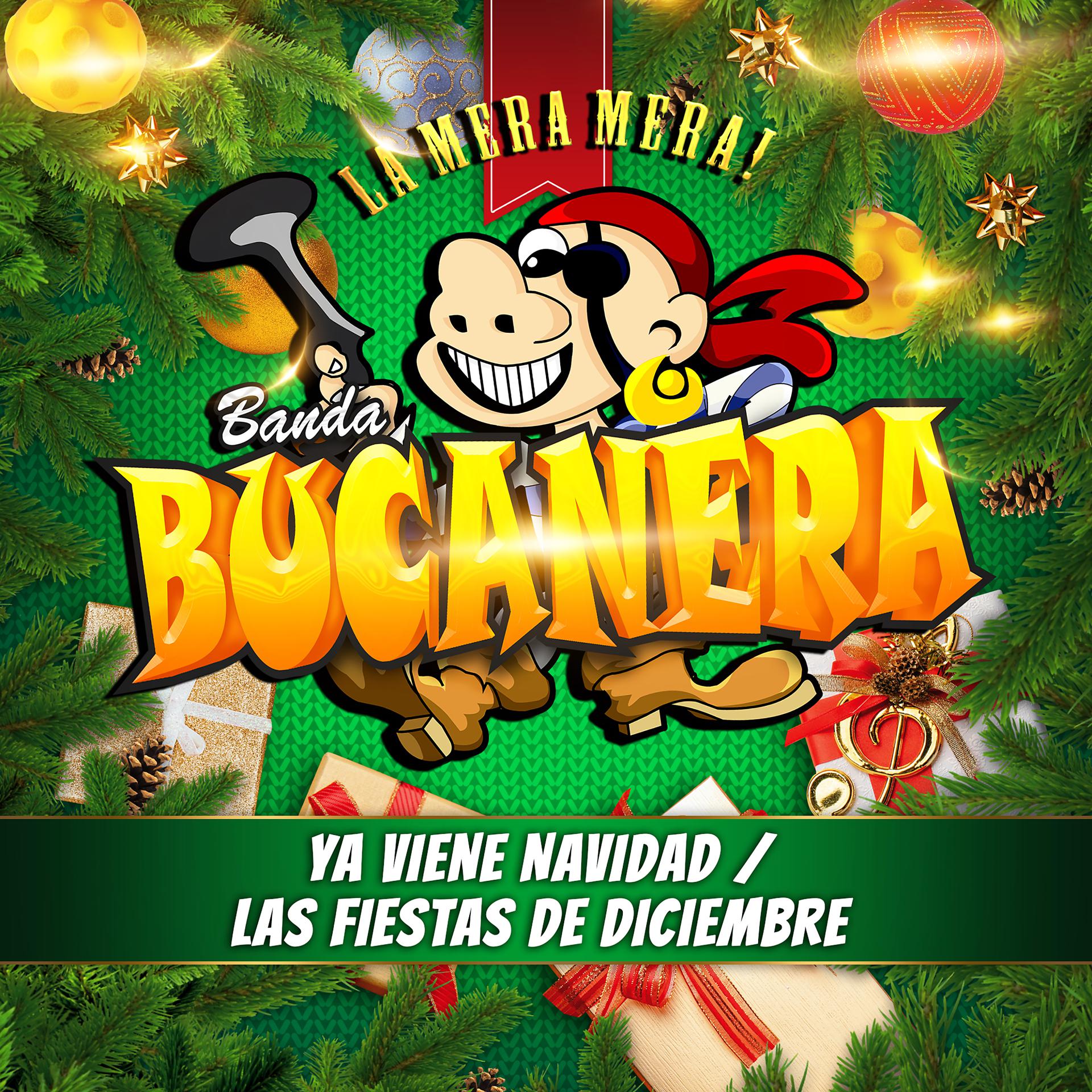 Постер альбома Las Fiestas De Diciembre / Ya Viene Navidad