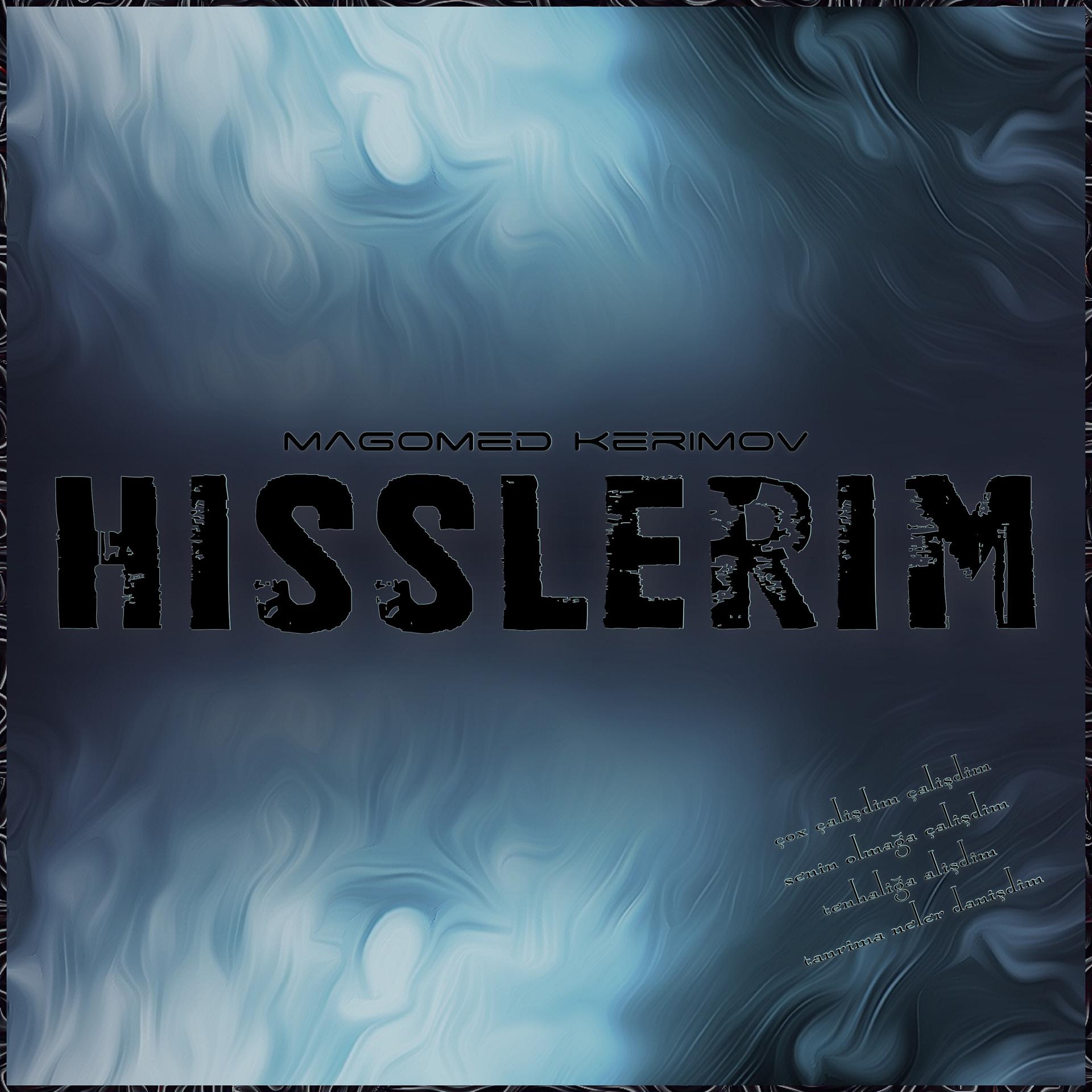 Постер альбома Hisslerim