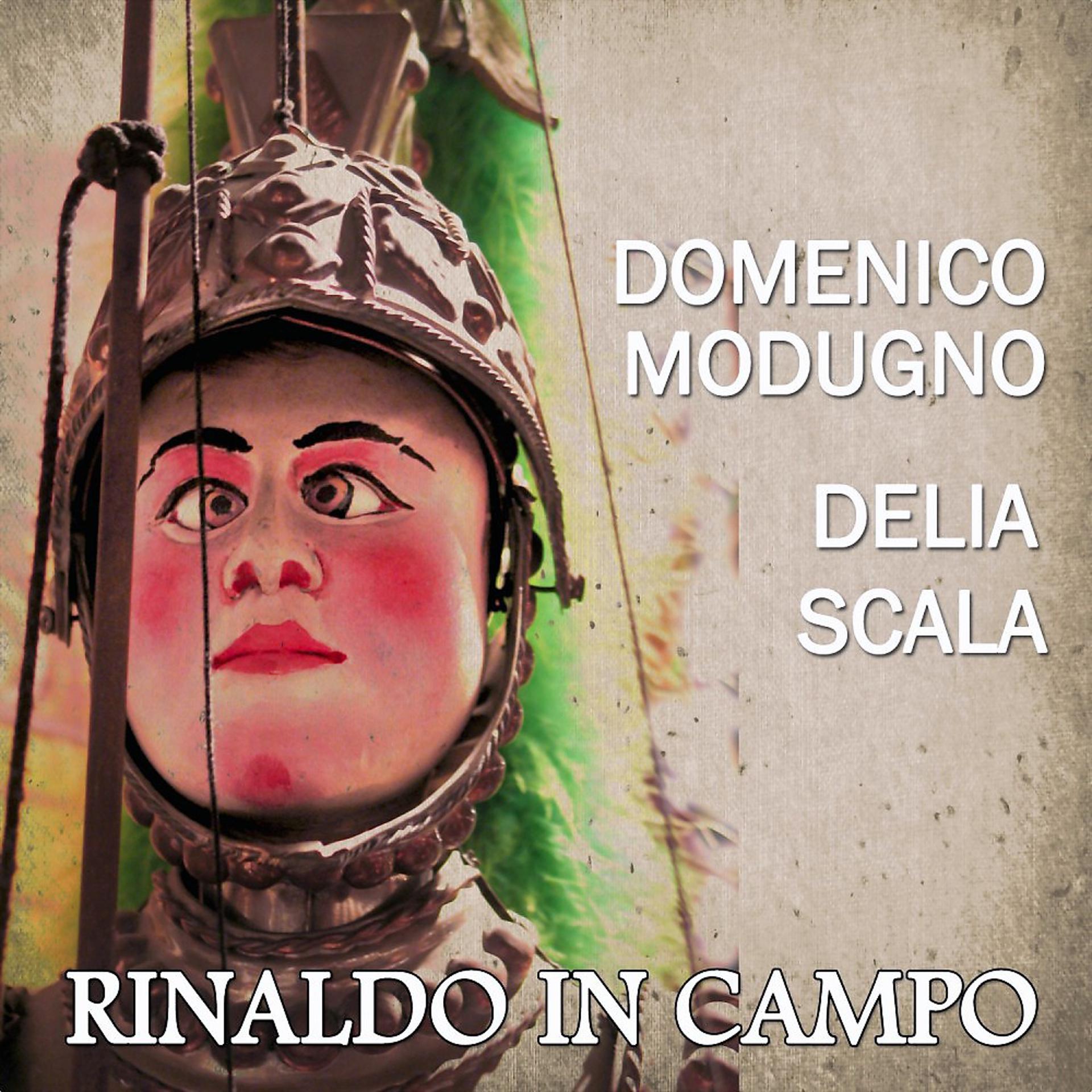 Постер альбома Rinaldo in campo