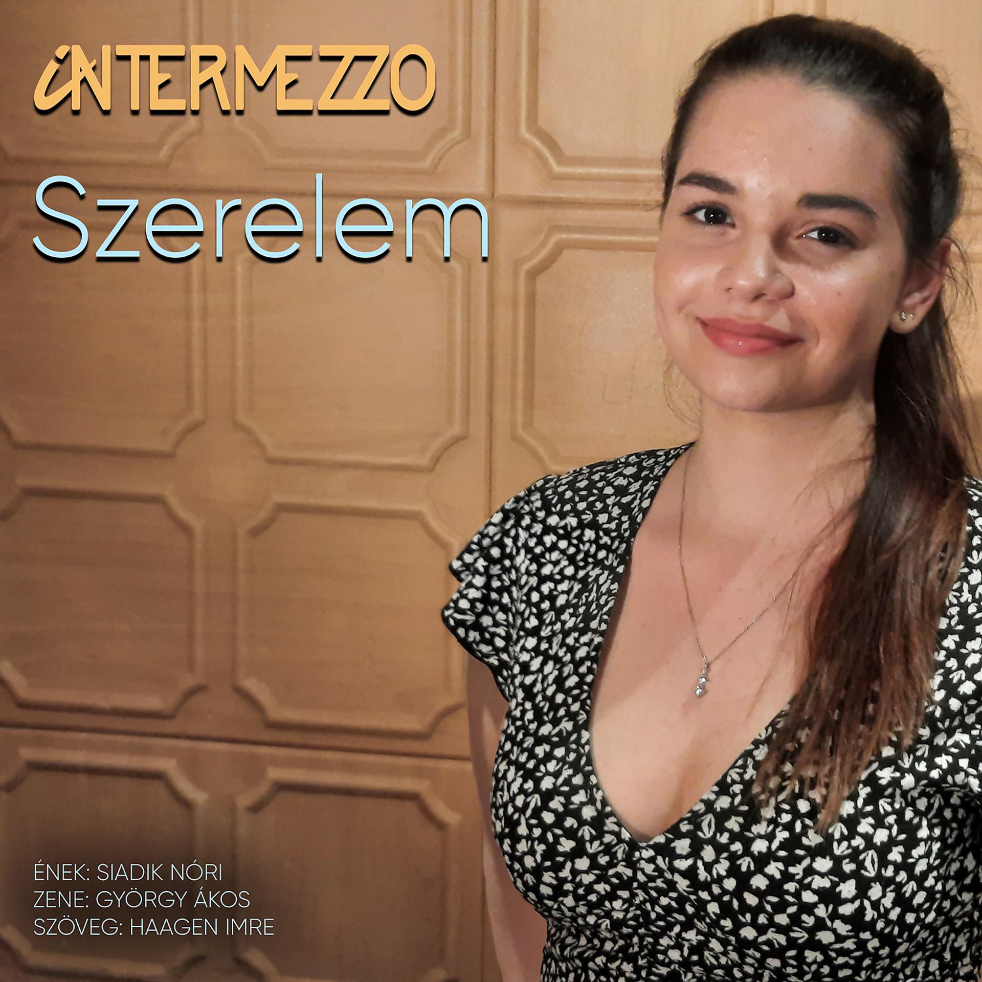 Постер альбома Szerelem