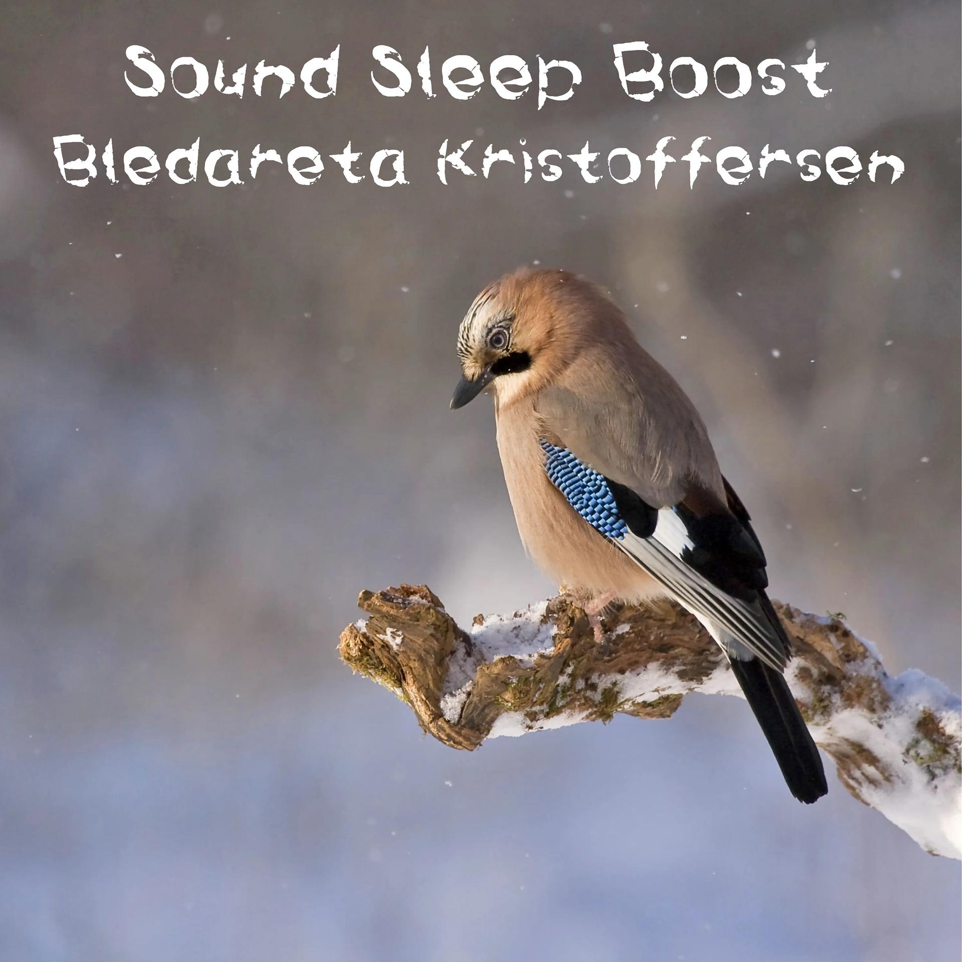 Постер альбома Sound Sleep Boost