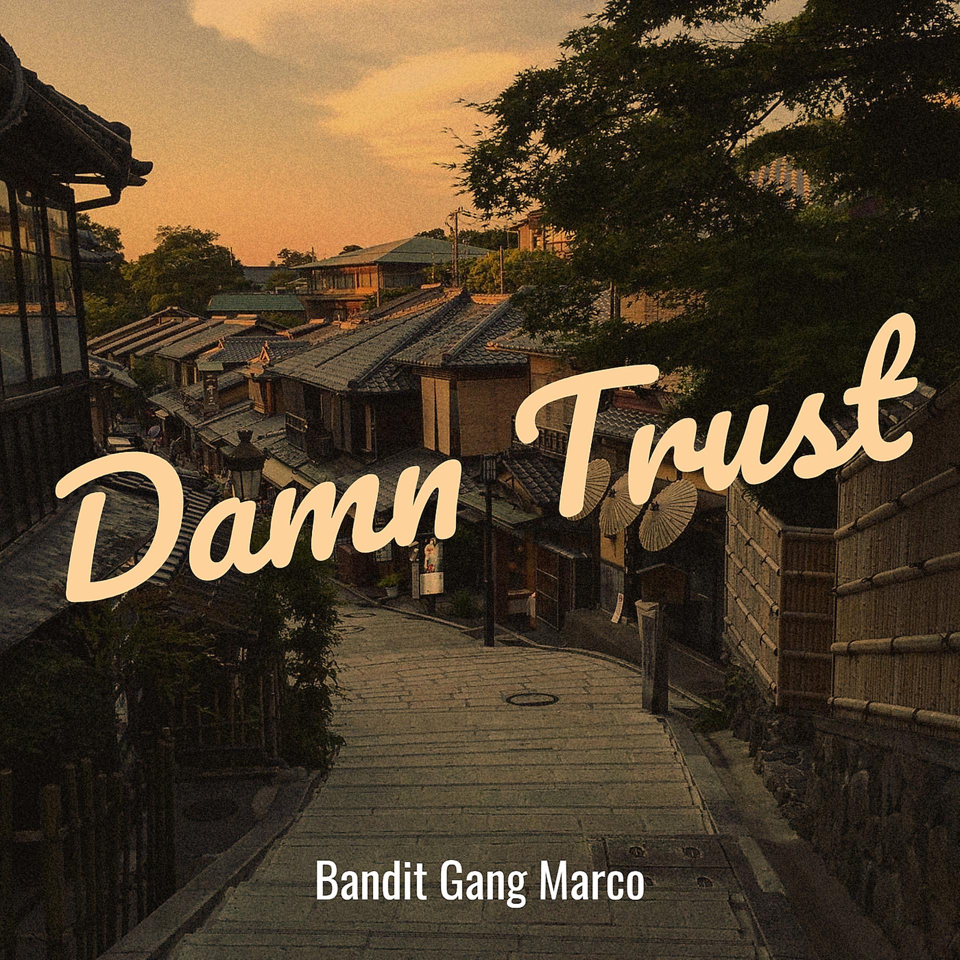 Постер альбома Damn Trust