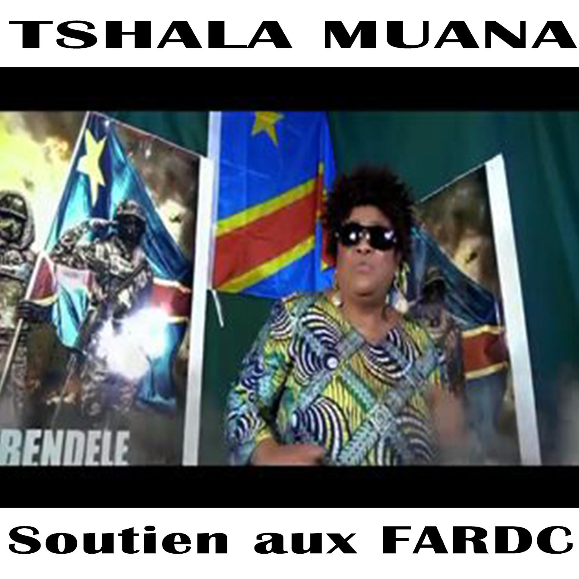 Постер альбома Soutien aux FARDC