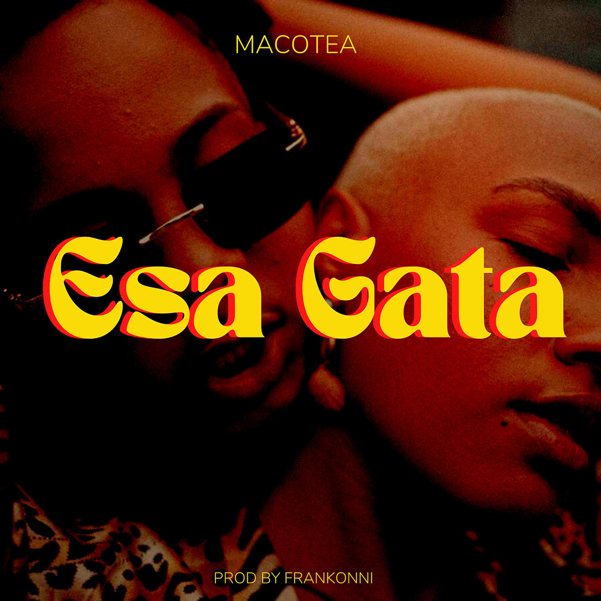 Постер альбома Esa Gata