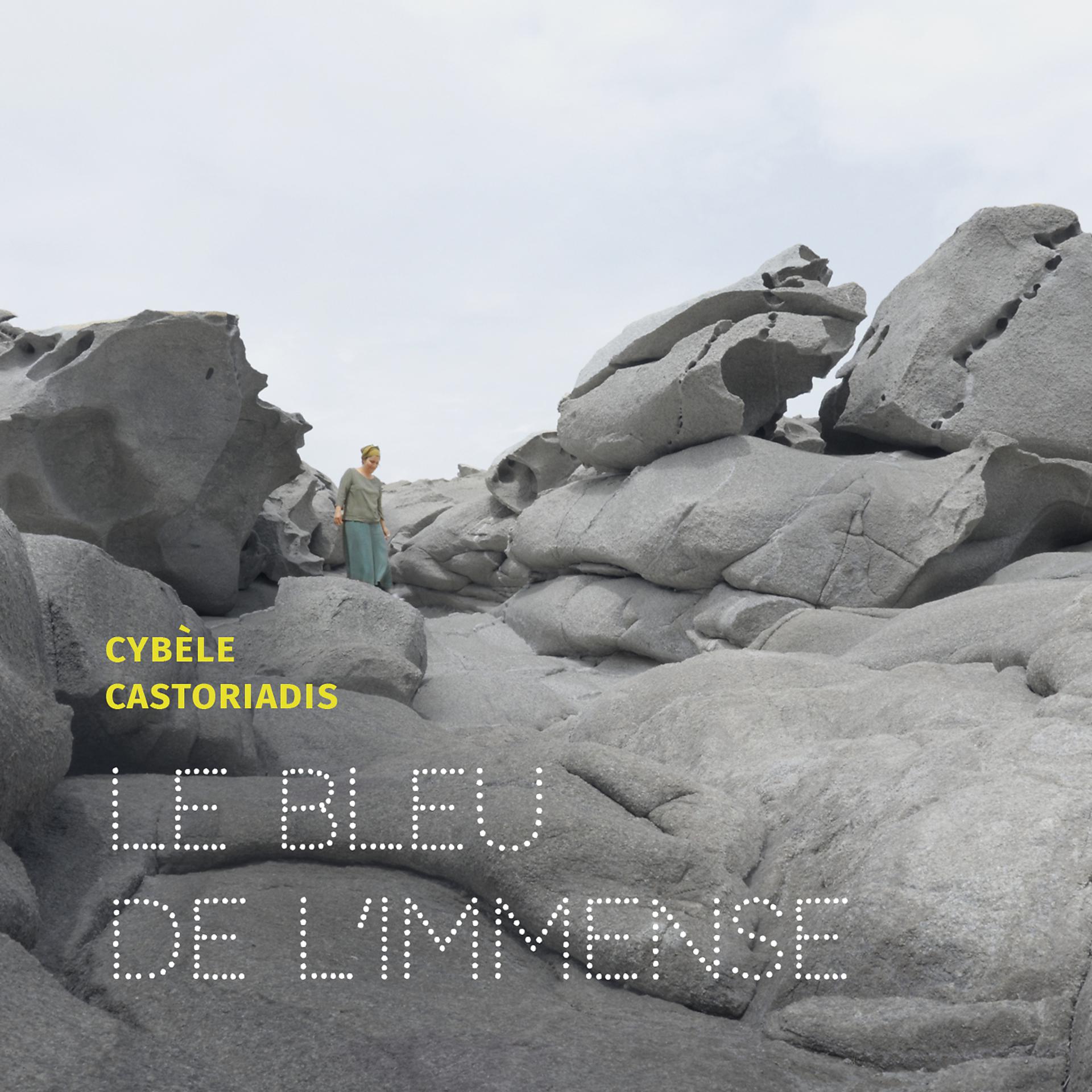 Постер альбома Le Bleu de l'Immense